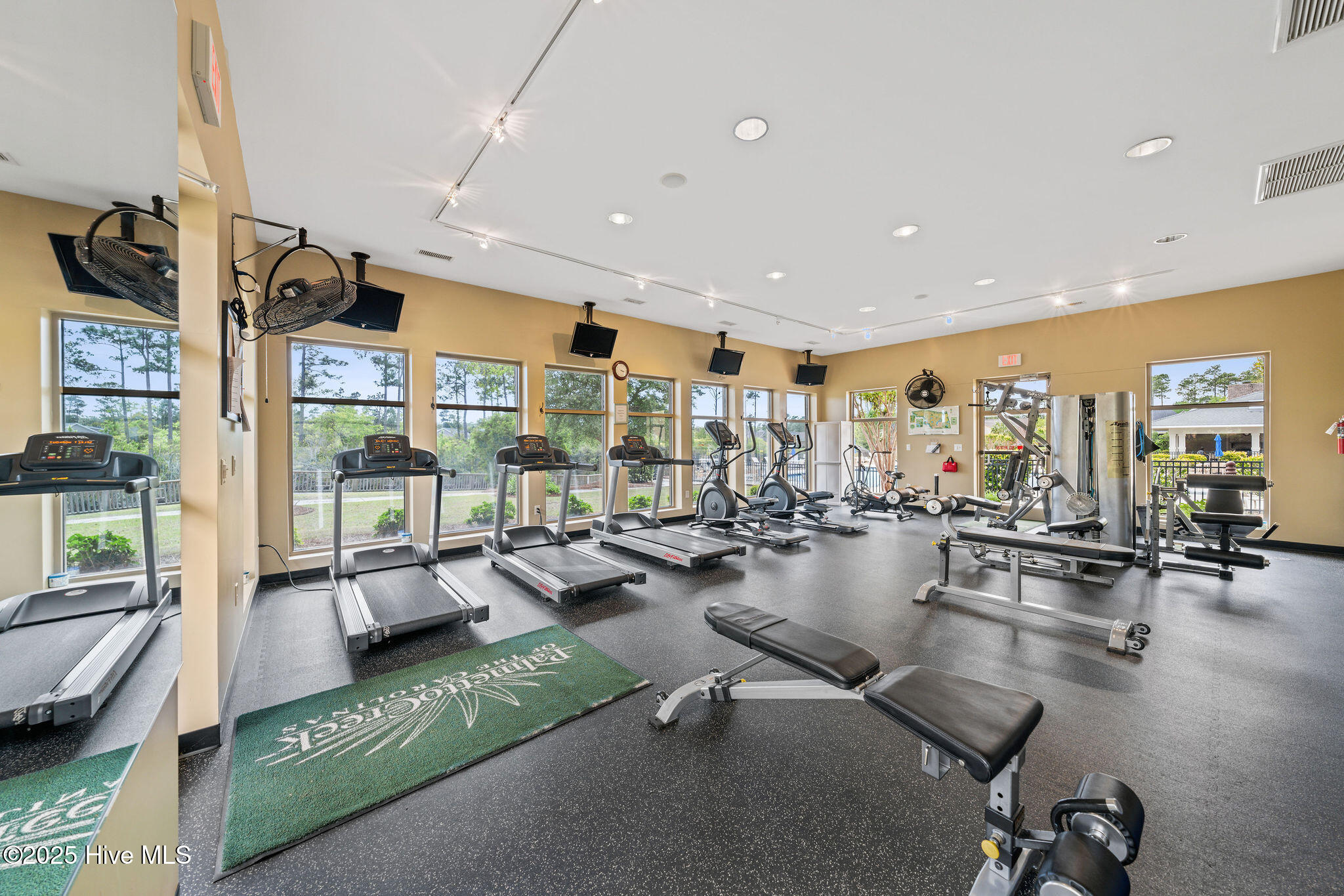 100531104 | Photo 82