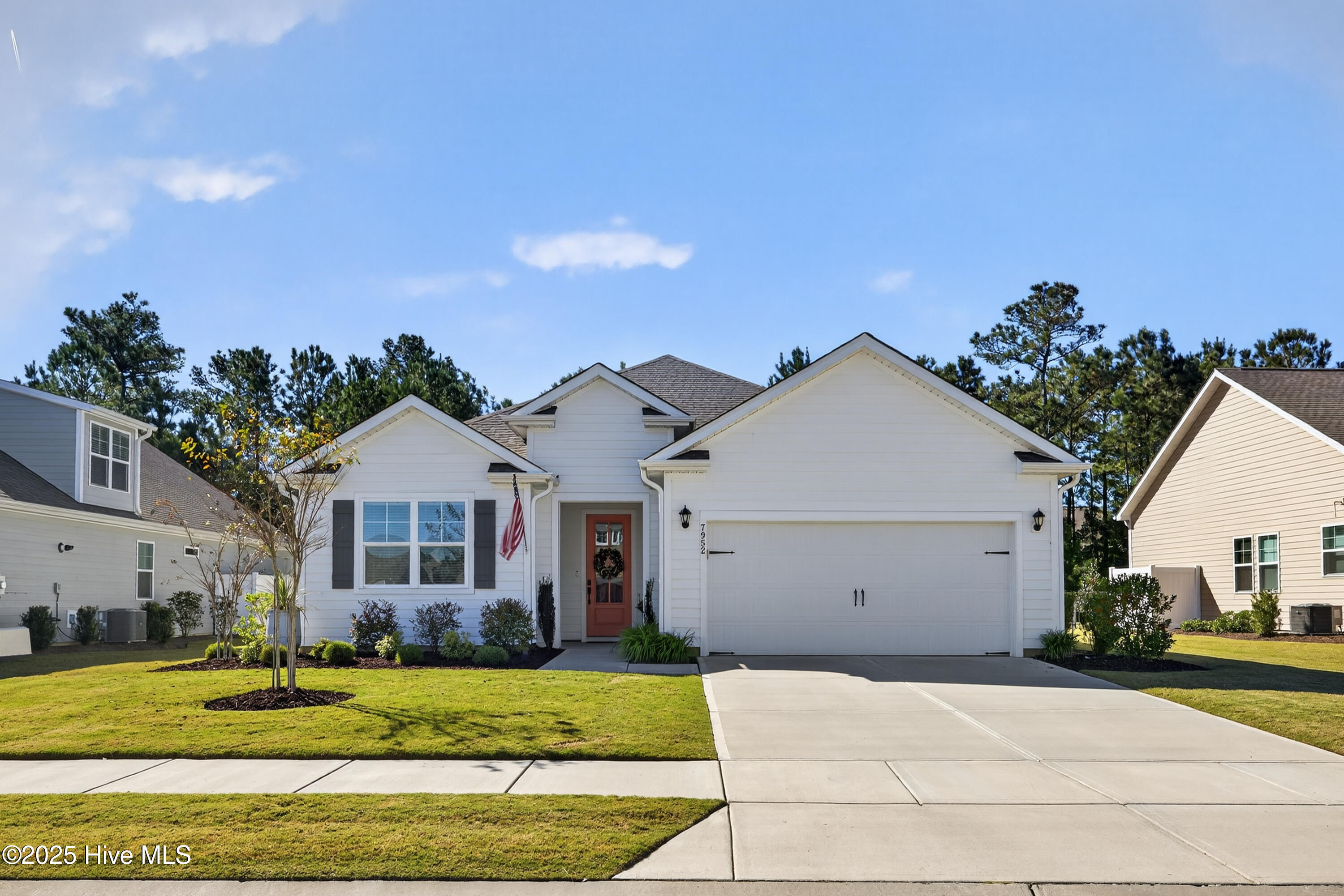 100538241 | Photo 38