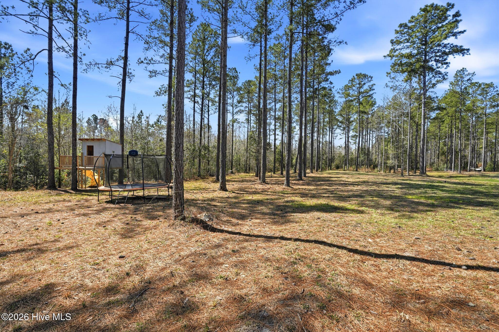 100562109 | Photo 103