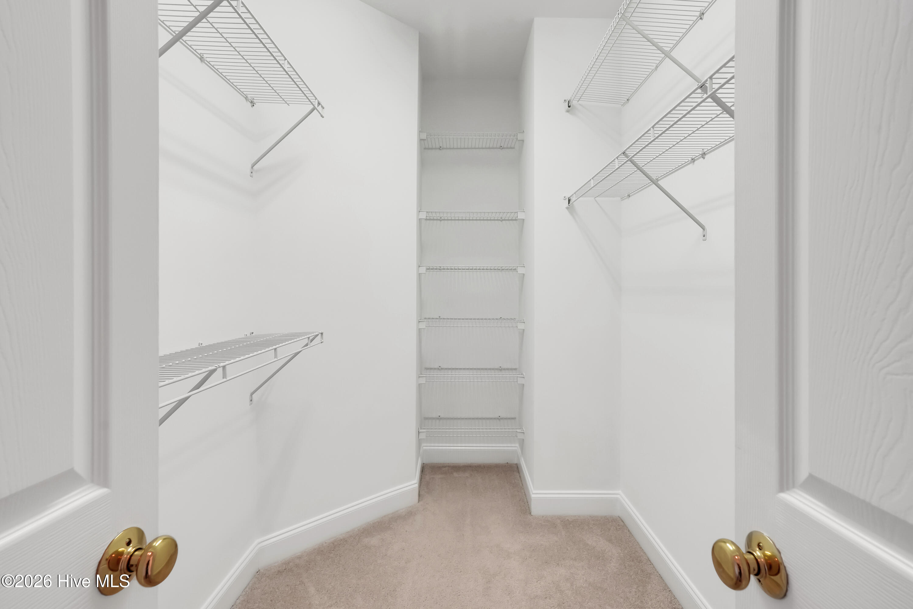 100554924 | Photo 23