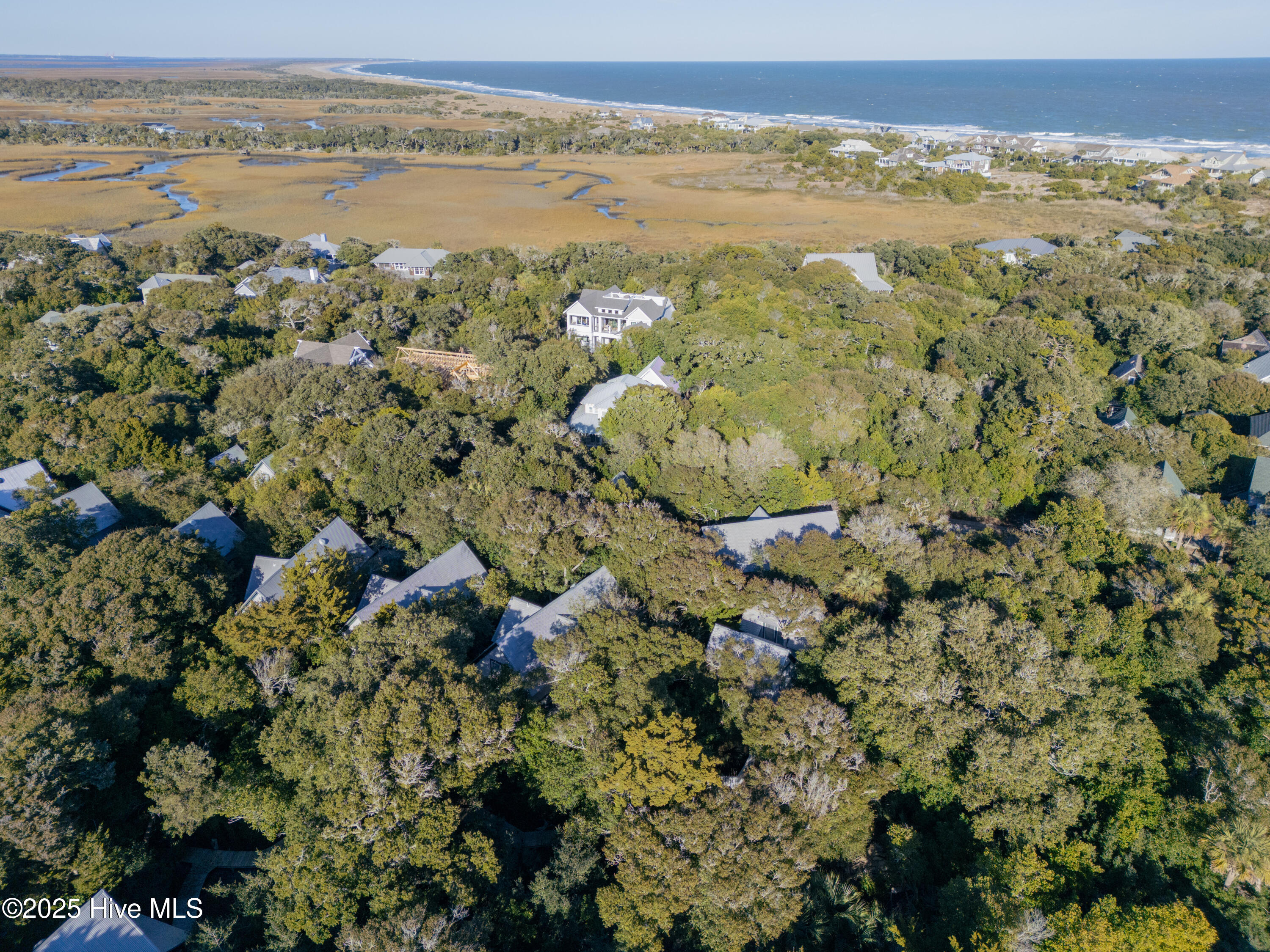 100546585 | Photo 31