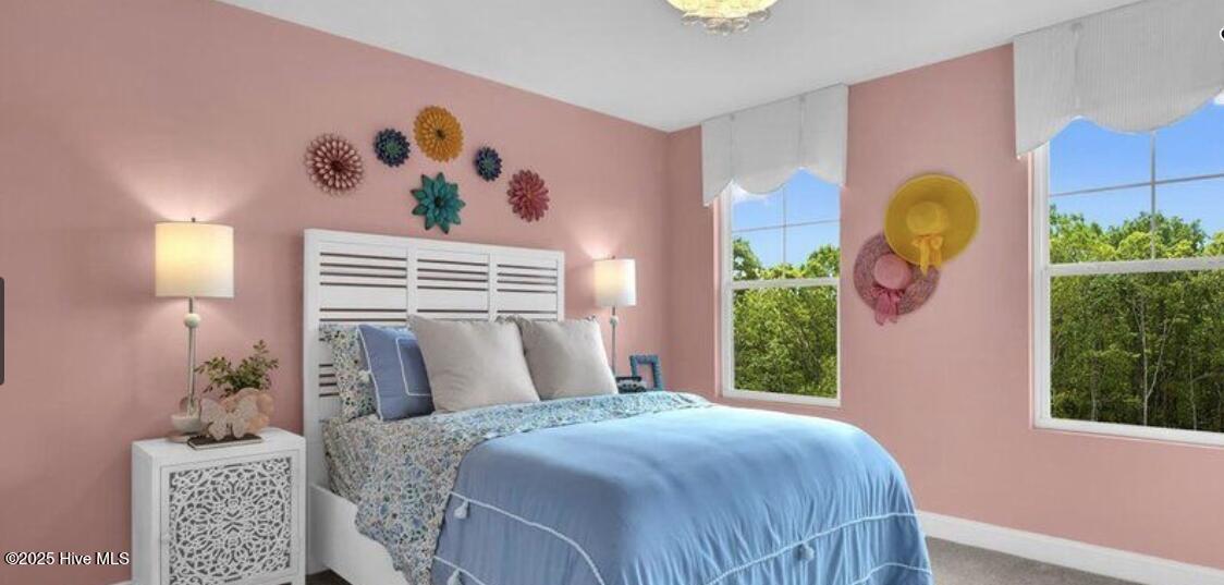 100554691 | Photo 20