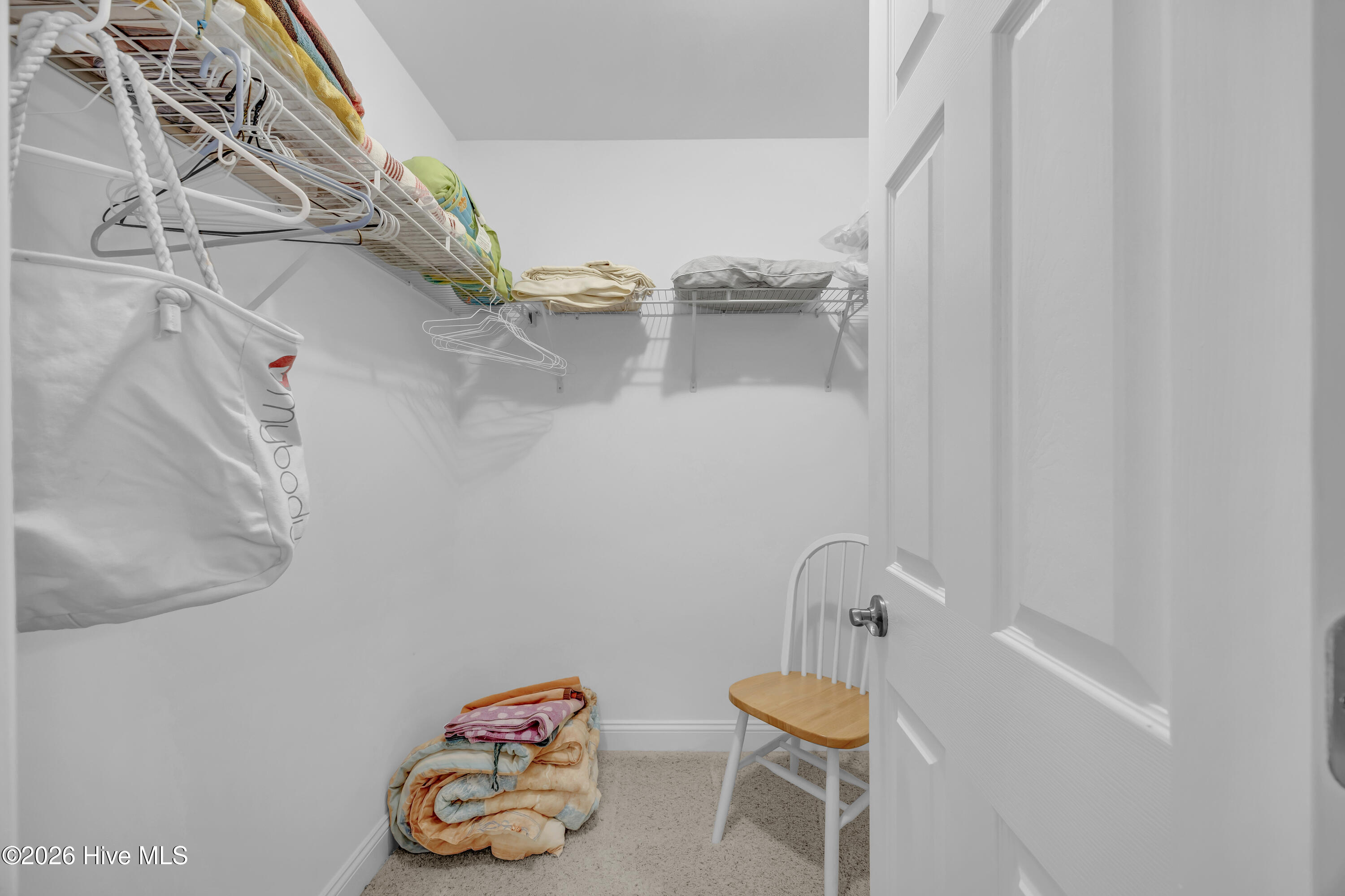 100560542 | Photo 34