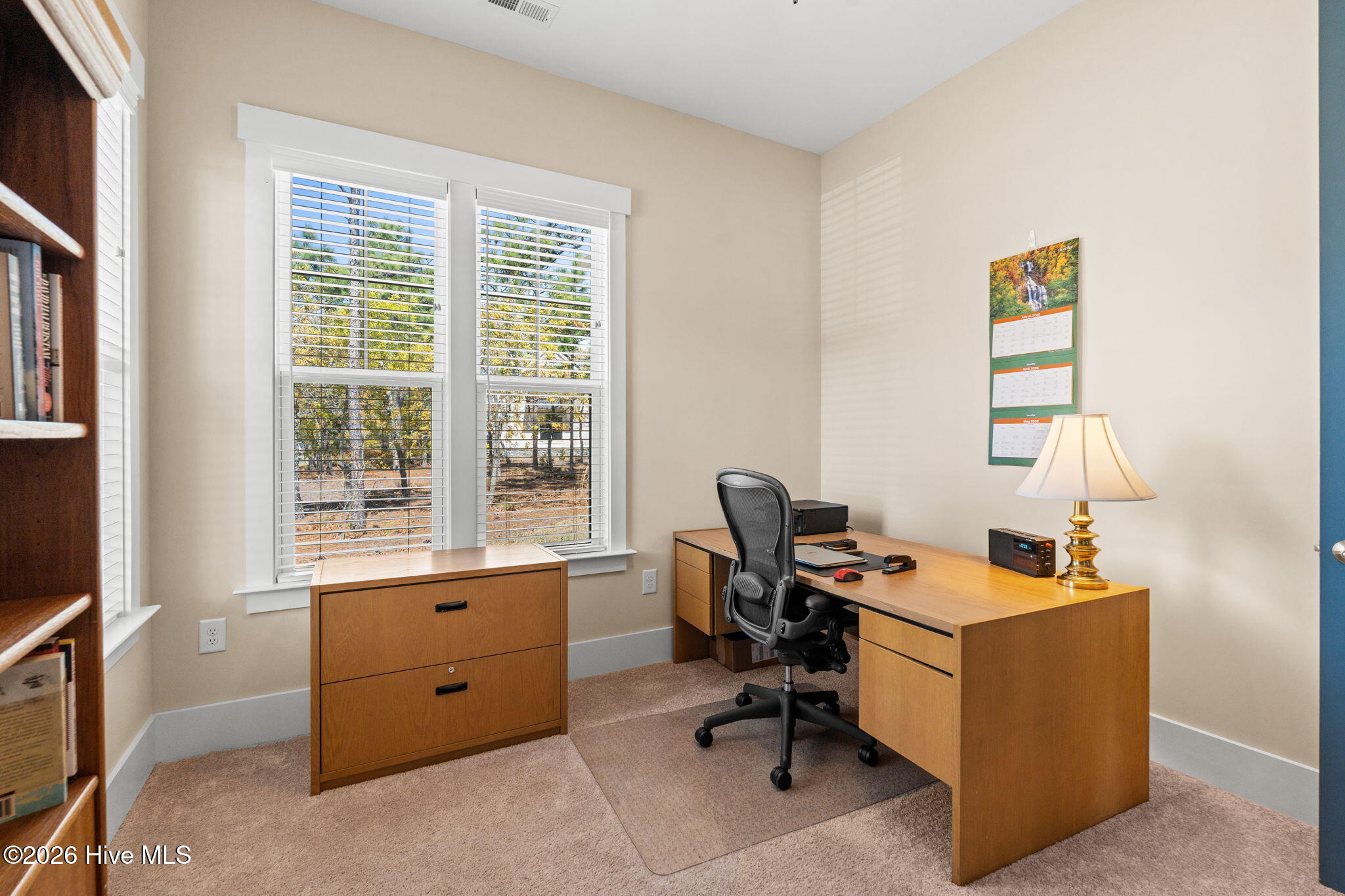 100564943 | Photo 34