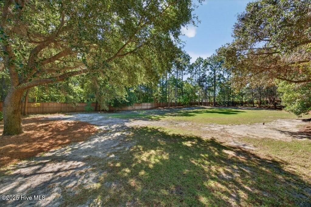 100535369 | Photo 54