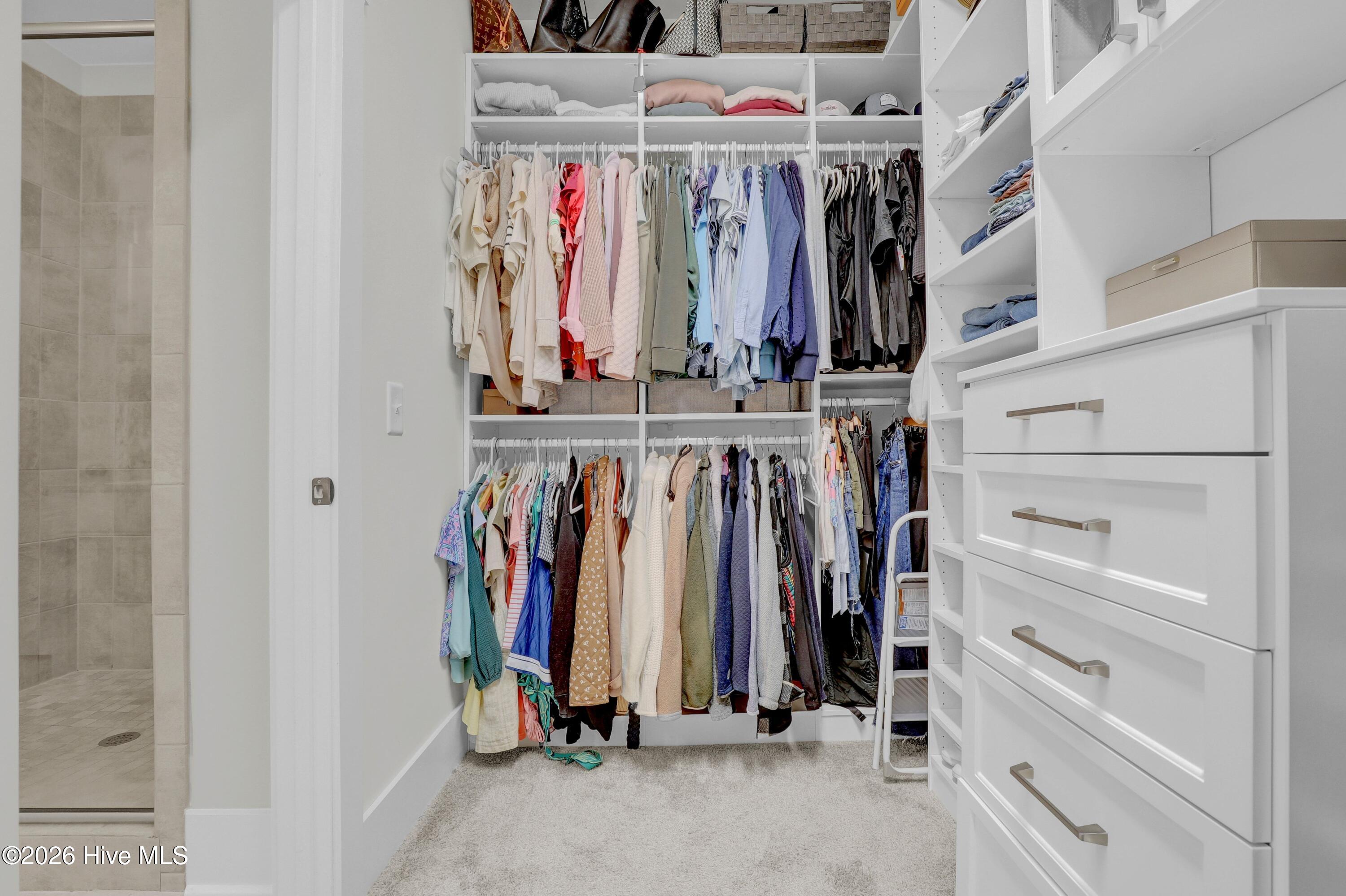 100565669 | Photo 27