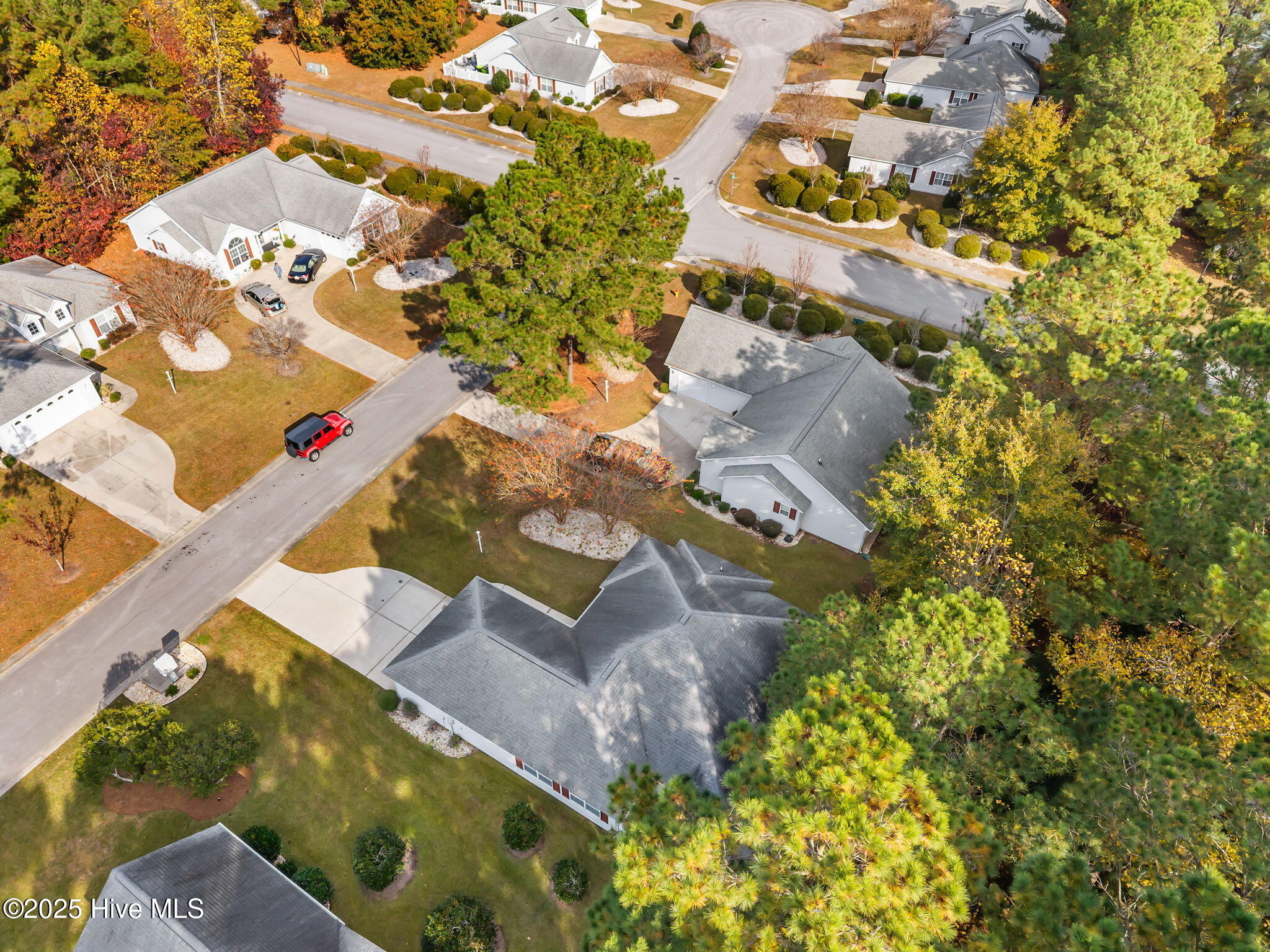 100542918 | Photo 46