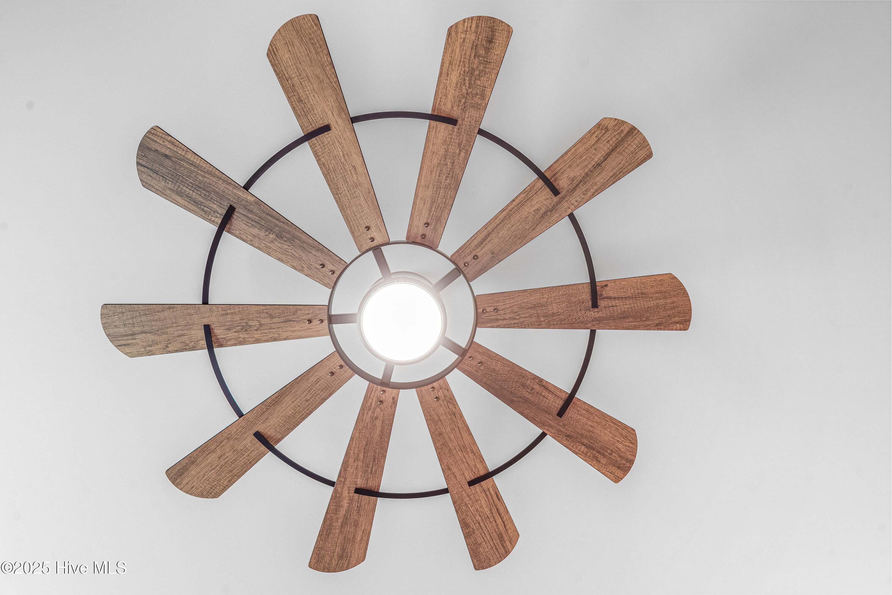 100521762 | Photo 19