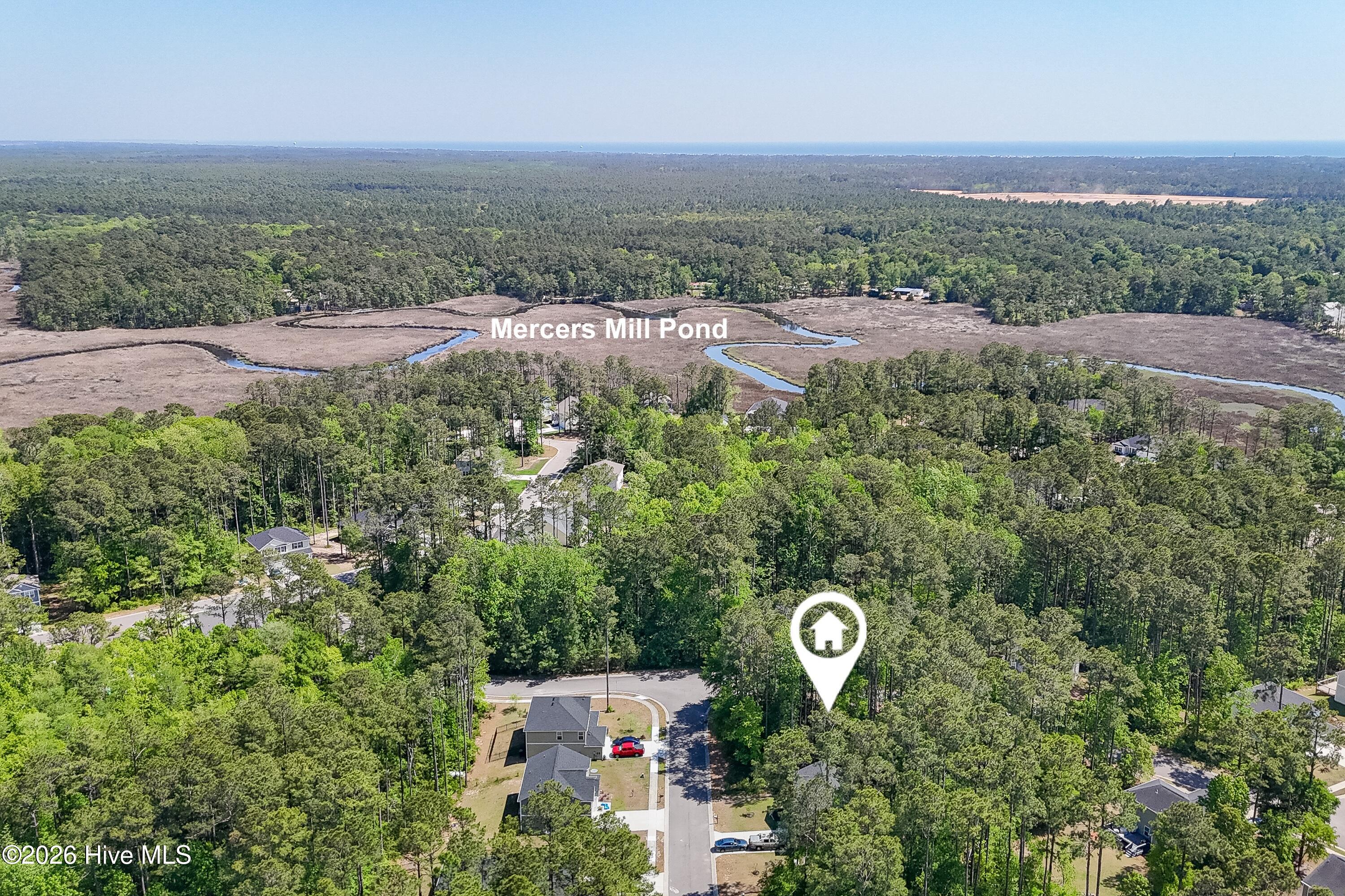 100569737 | Photo 10