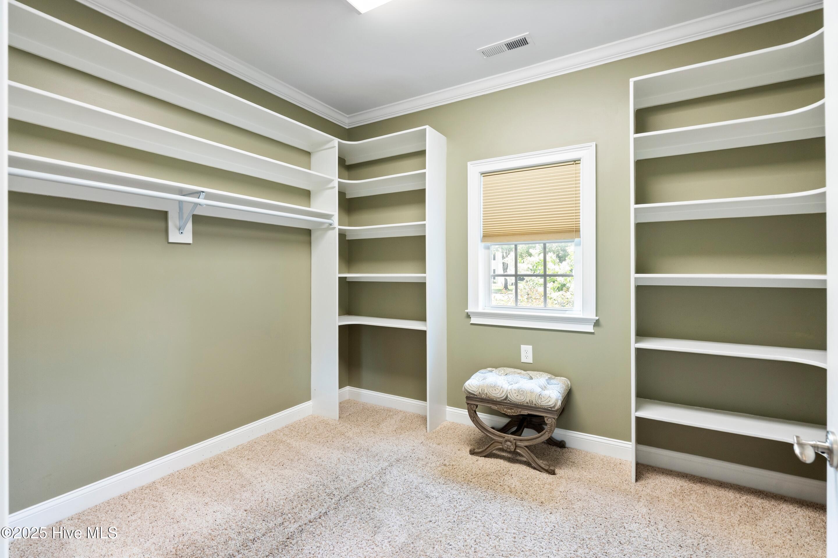 100518438 | Photo 38