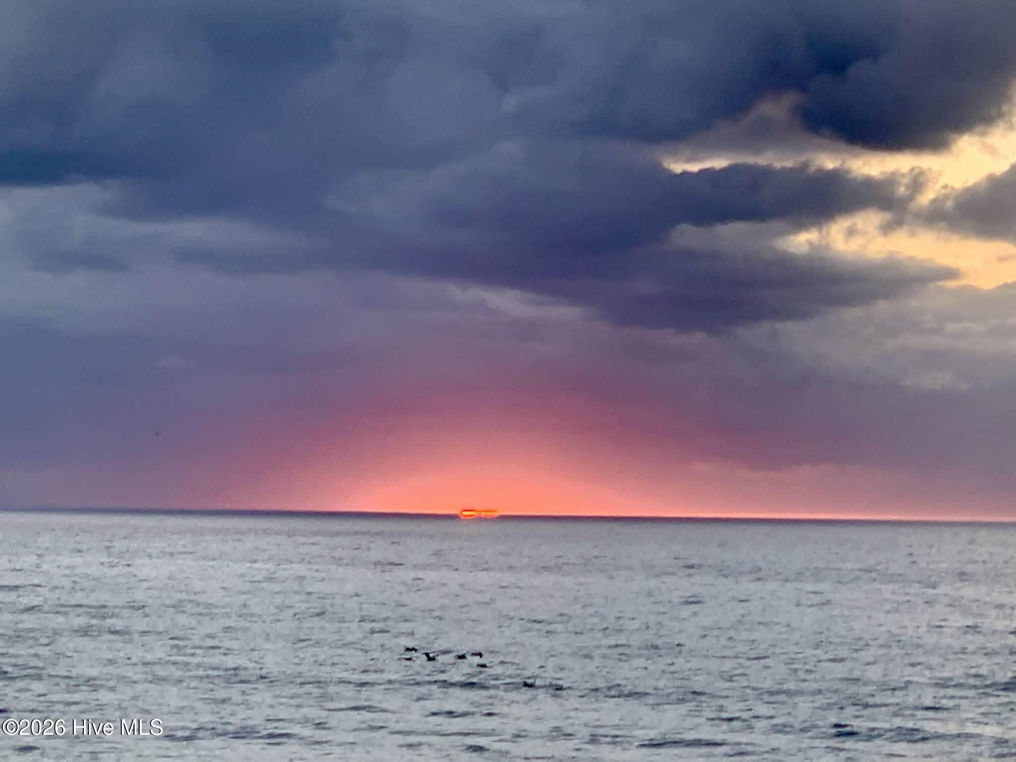 100563285 | Photo 69