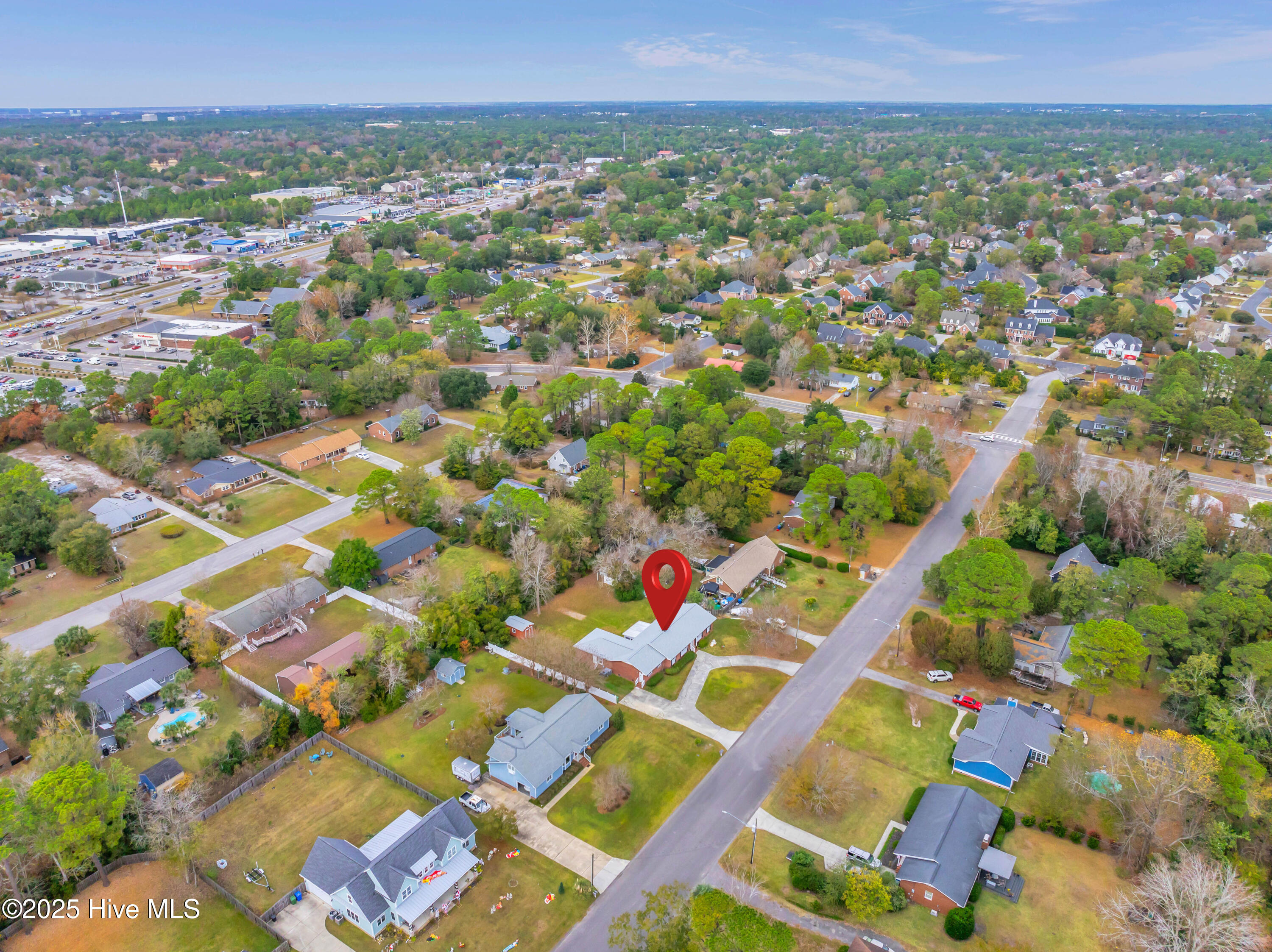 100567003 | Photo 49