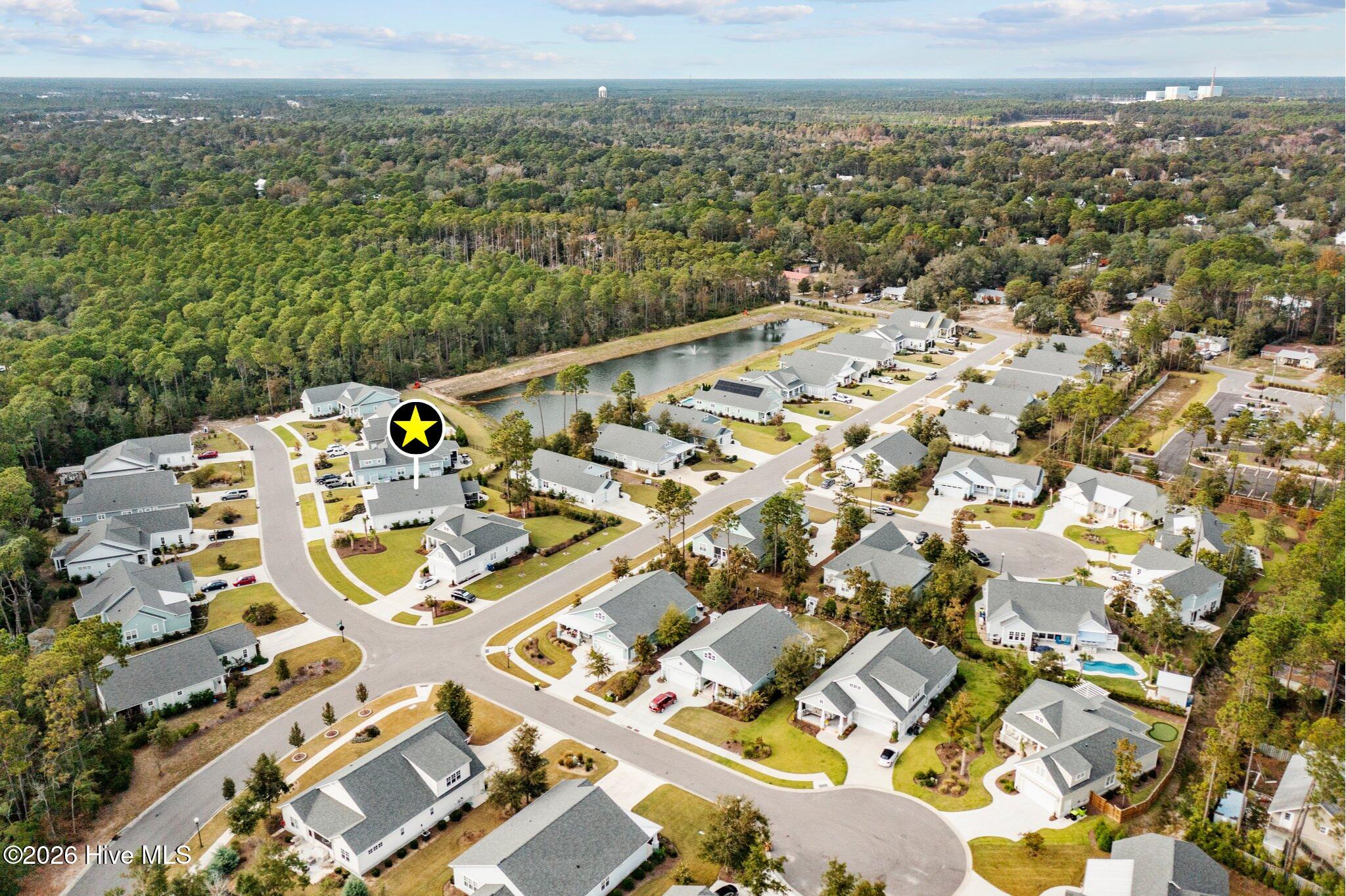 100553460 | Photo 43