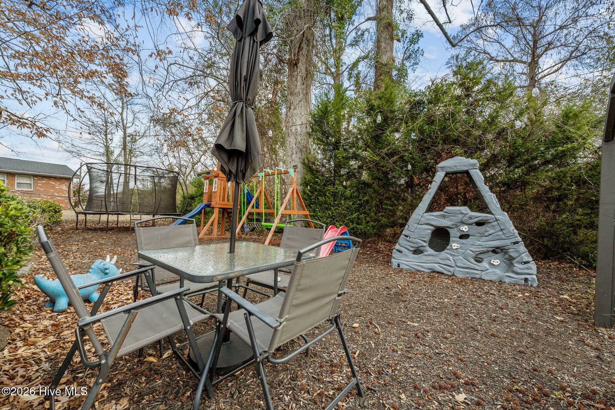 100559332 | Photo 41