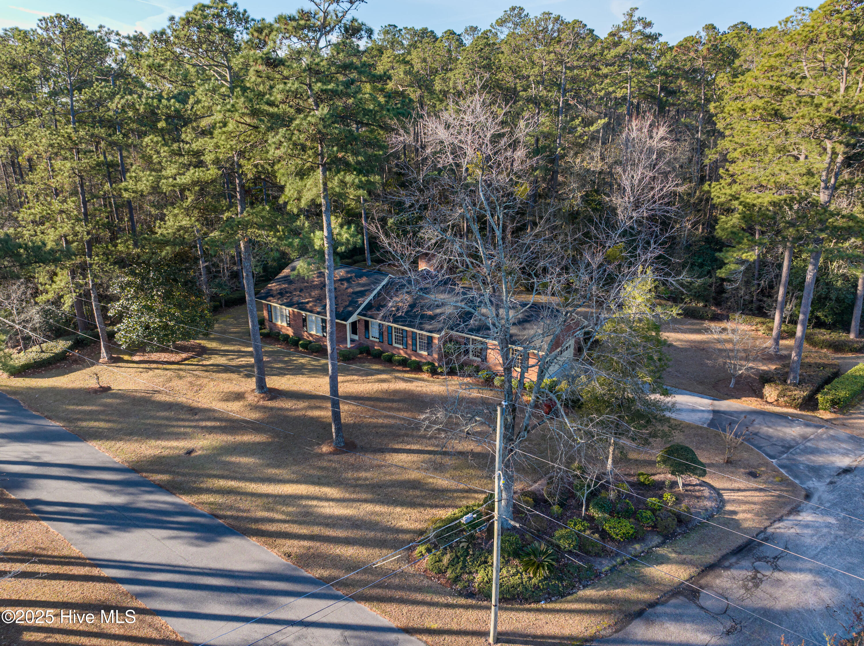 100484666 | Photo 35