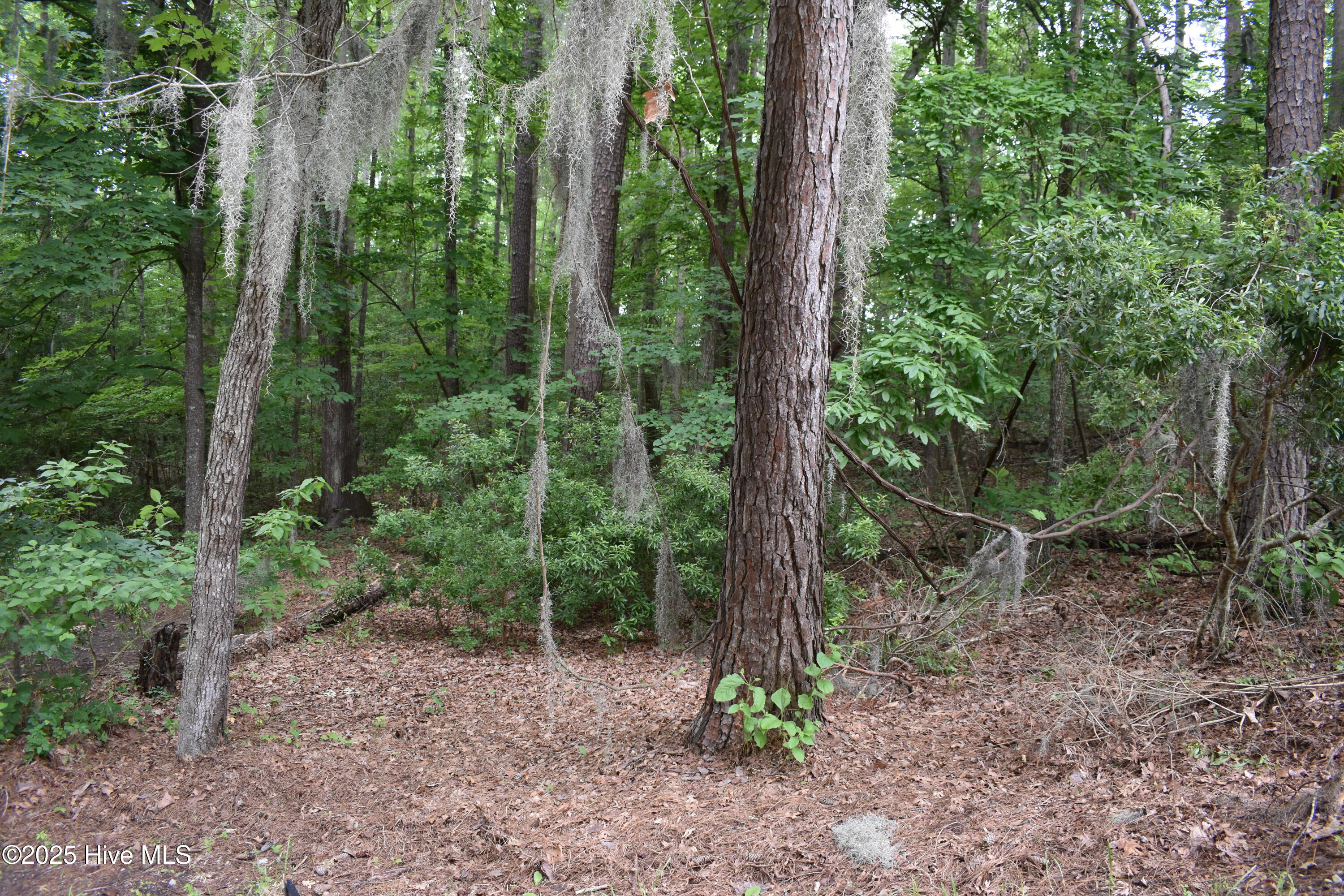 Homes for sale in Blounts Creek, NC | Lot 6 River Rd, Blounts Creek, NC 27814 | MLS# 100512257