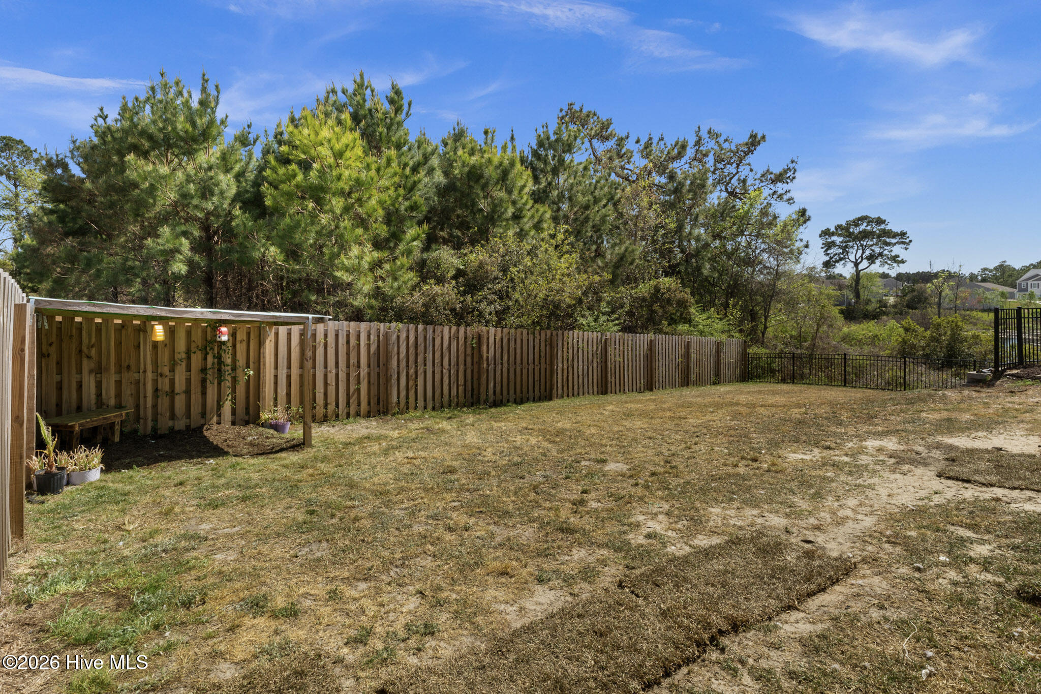 100566662 | Photo 30