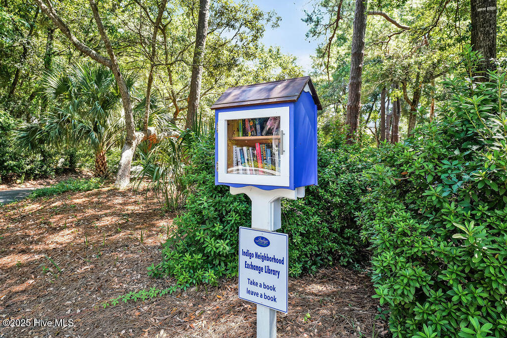 100504453 | Photo 55