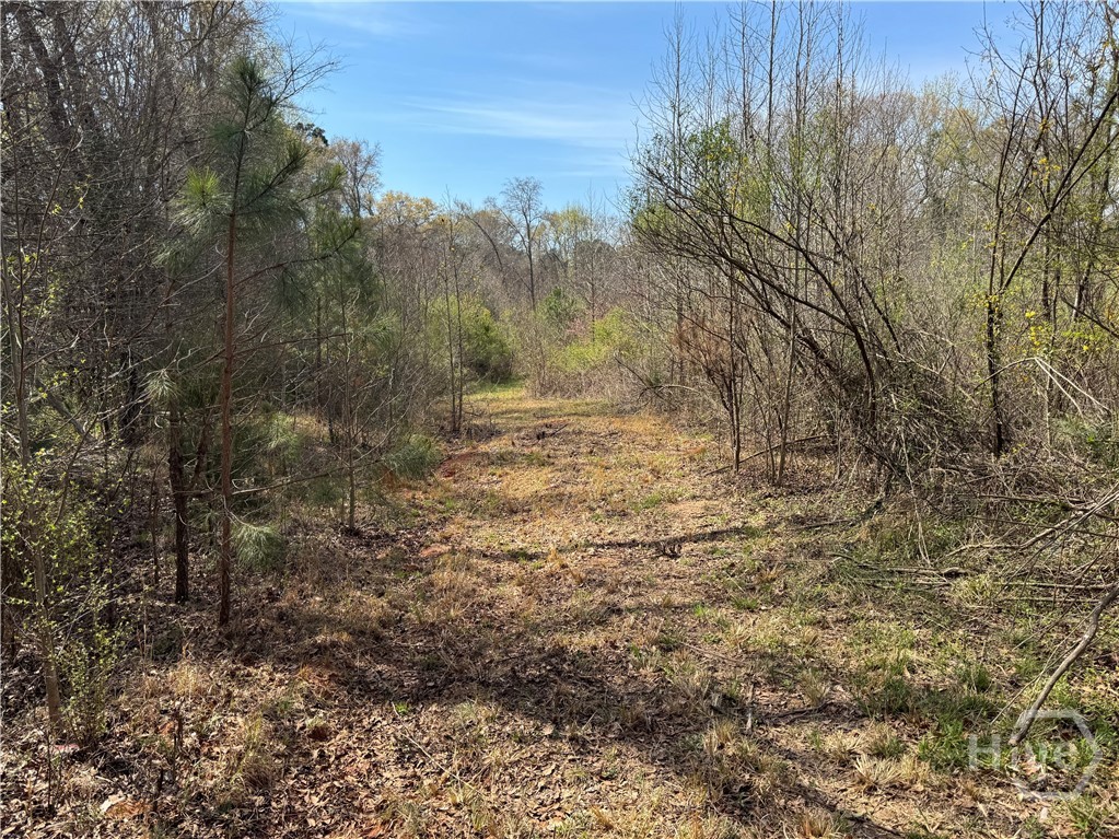 738 Old Mineral Springs Road, Elberton, GA, 30635