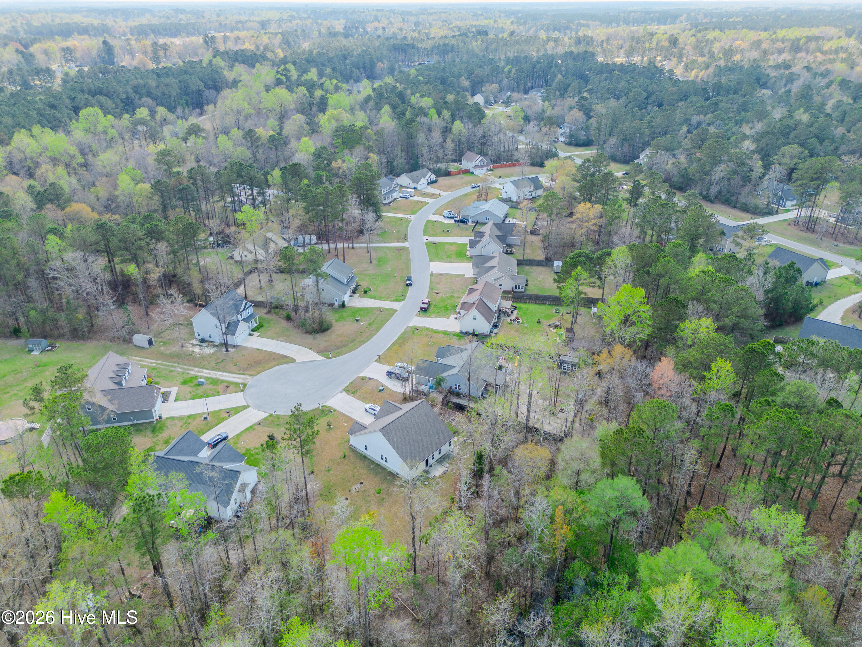 100563083 | Photo 57