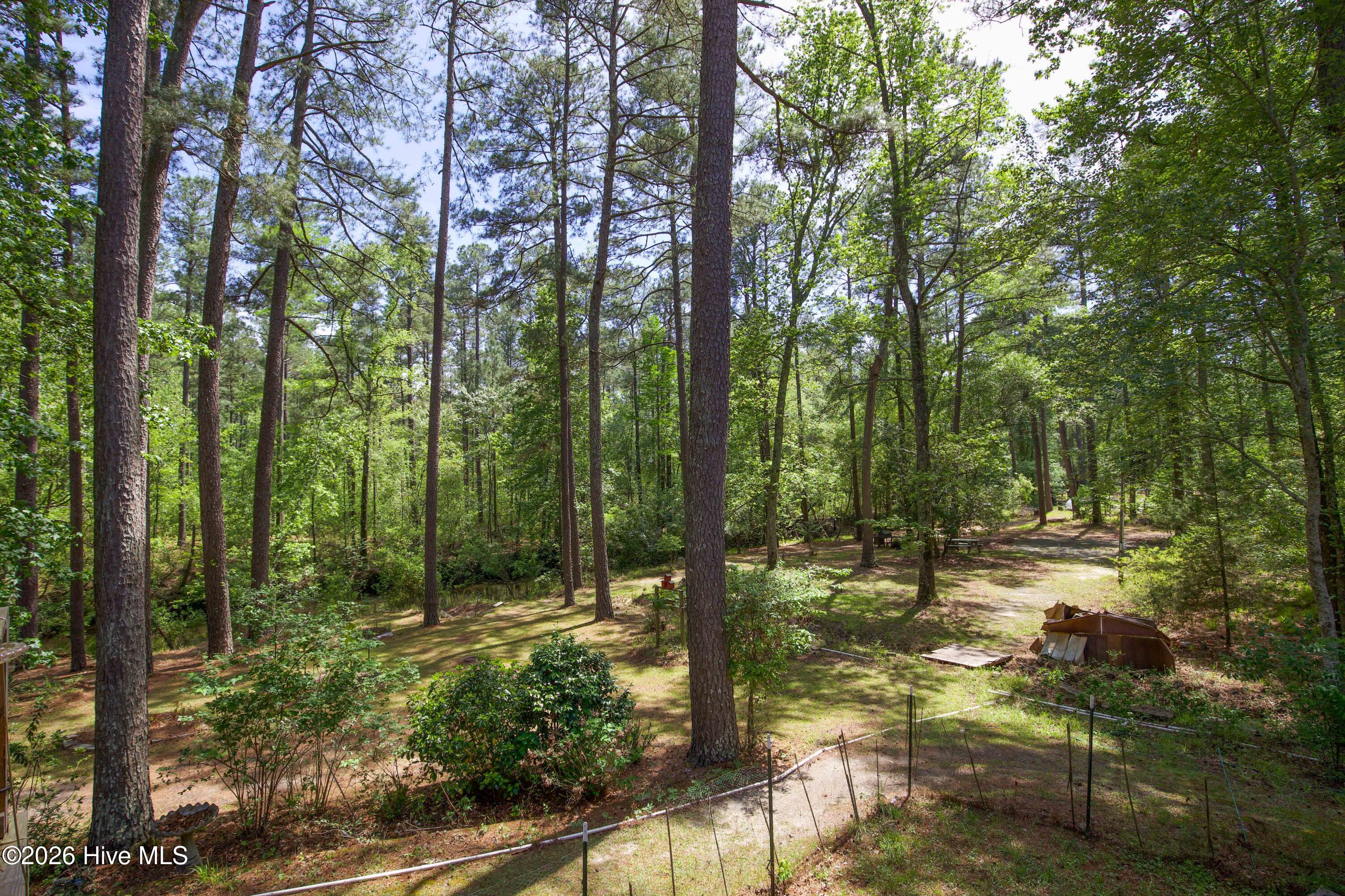 Back Deck View