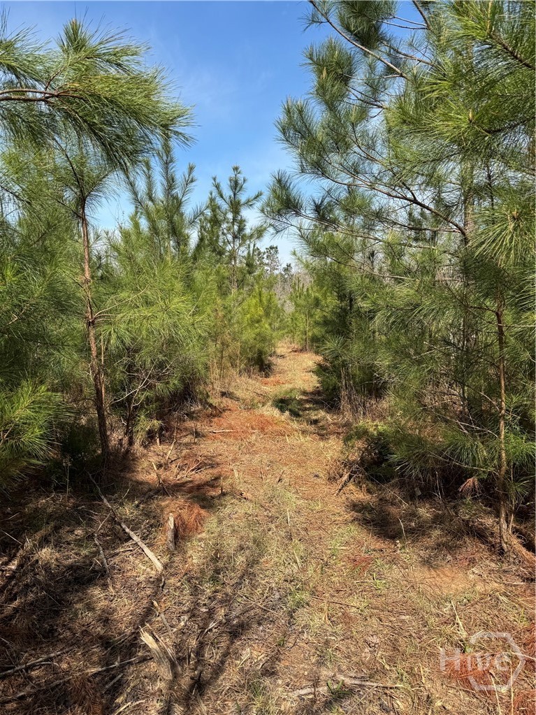 738 Old Mineral Springs Road, Elberton, GA, 30635