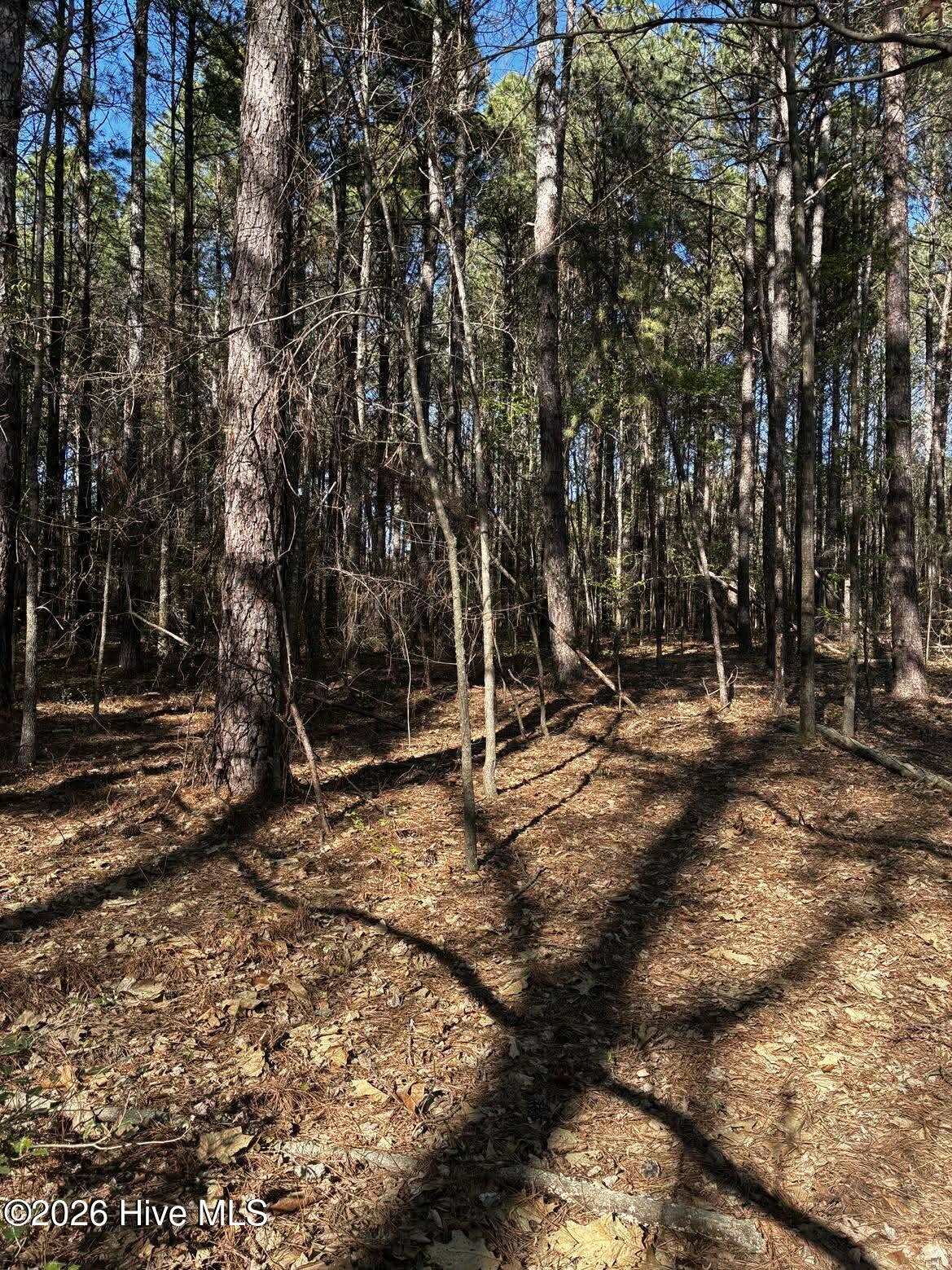 285 Kelly Road, Carthage, NC, 28327