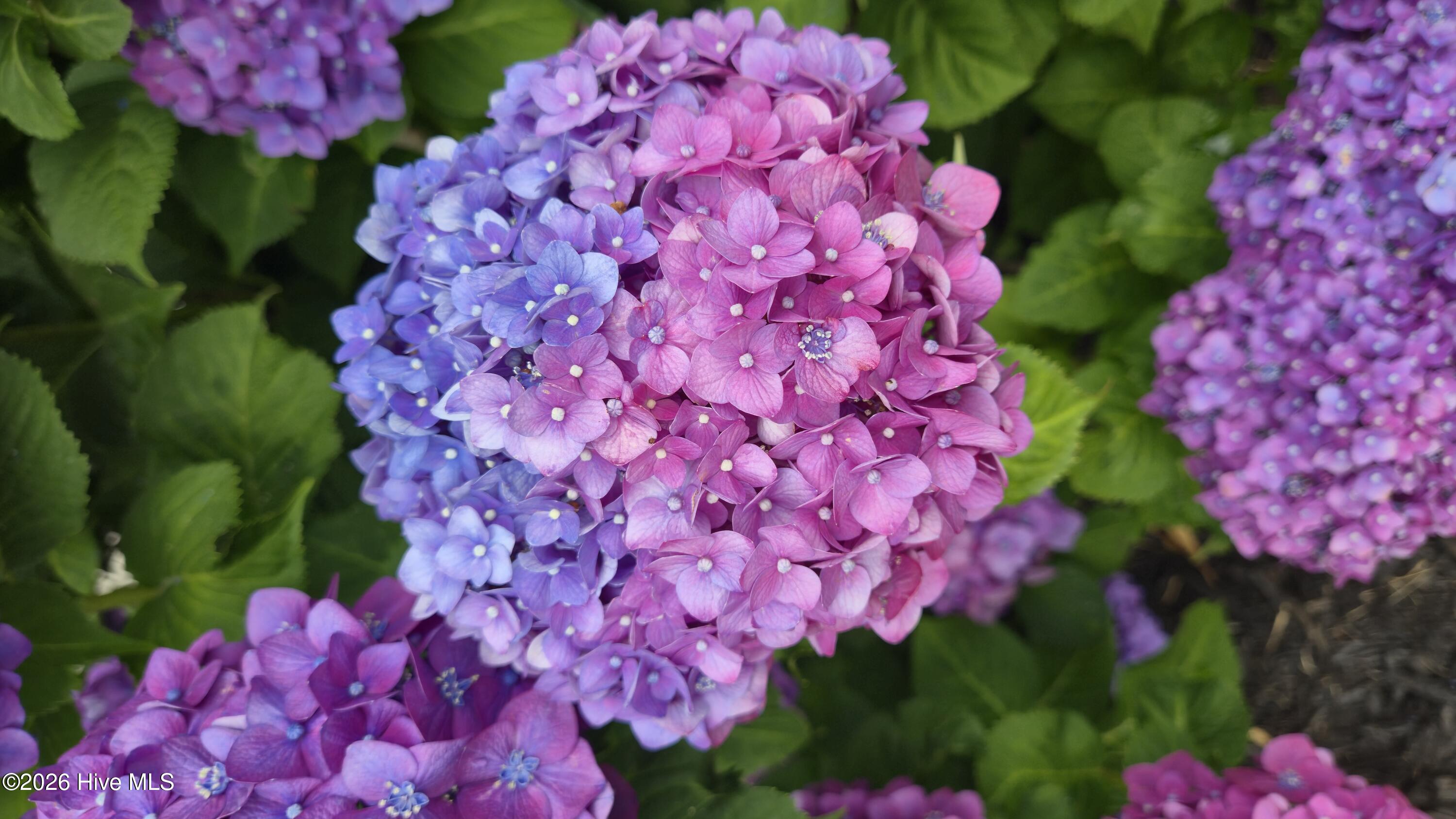 100551337 | Photo 68