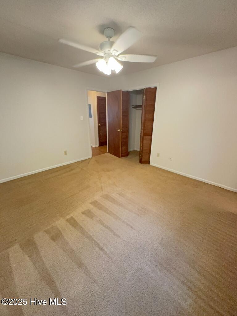 100534666 | Photo 10