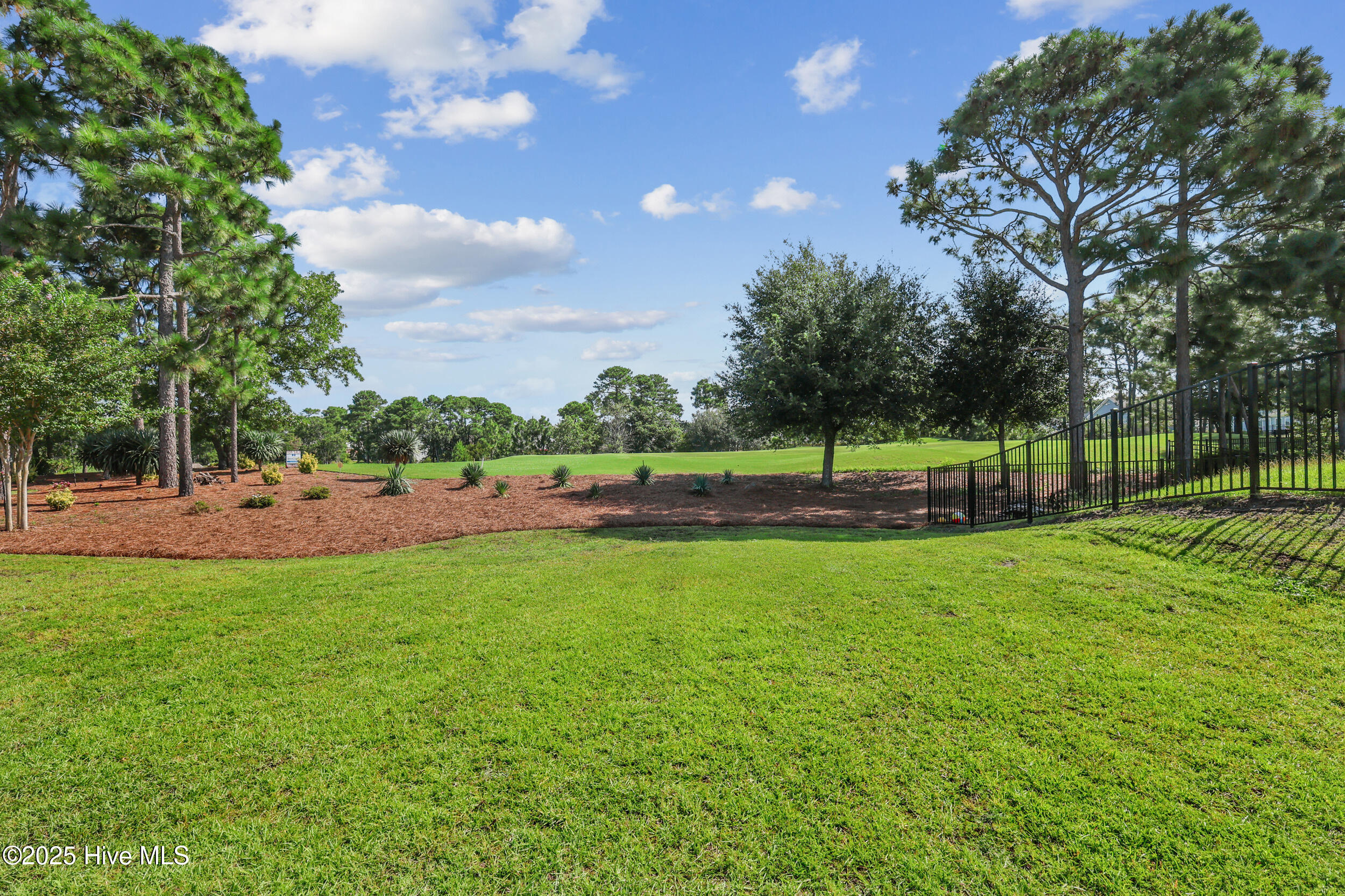 100521599 | Photo 33