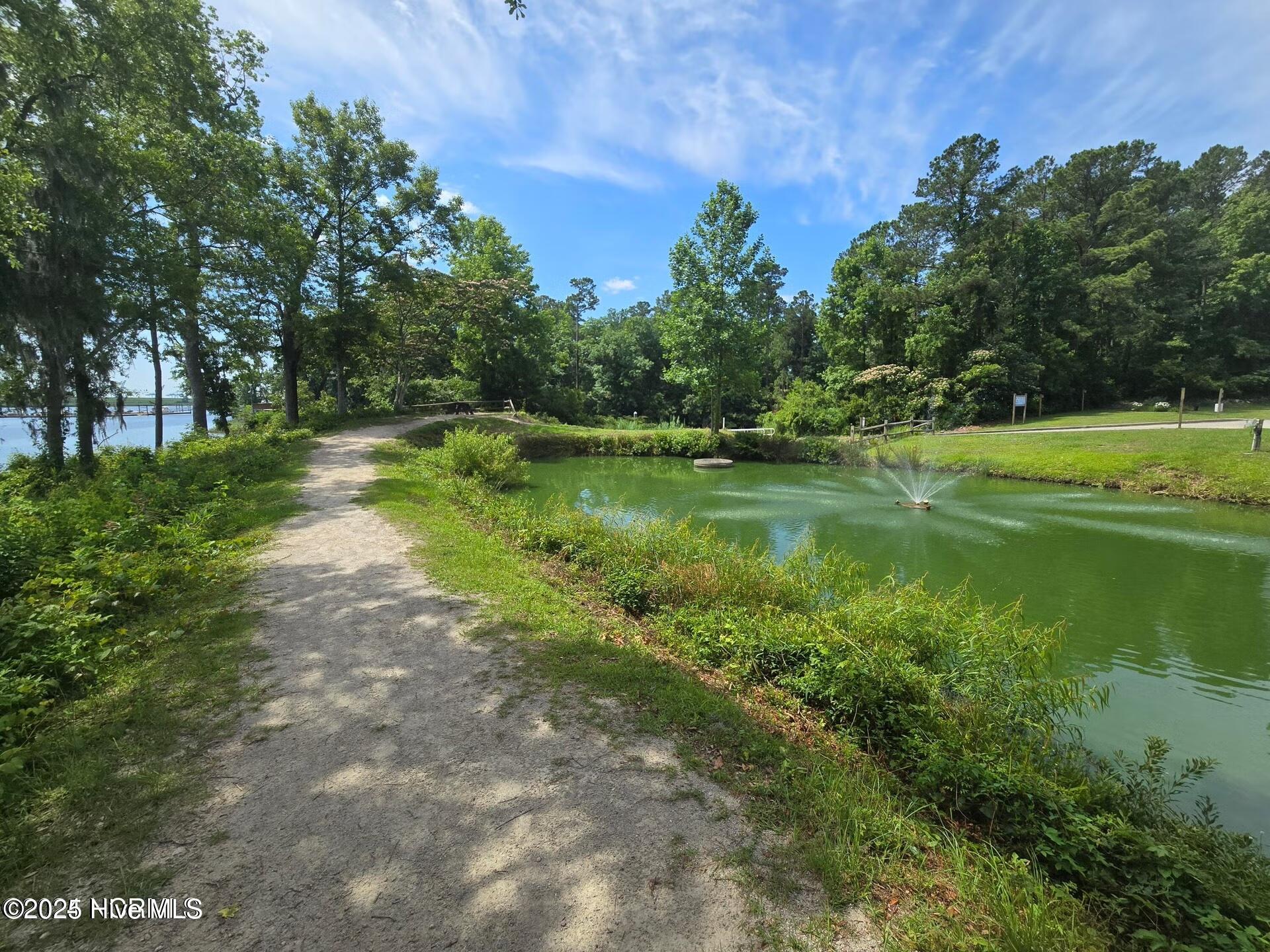 100535606 | Photo 28