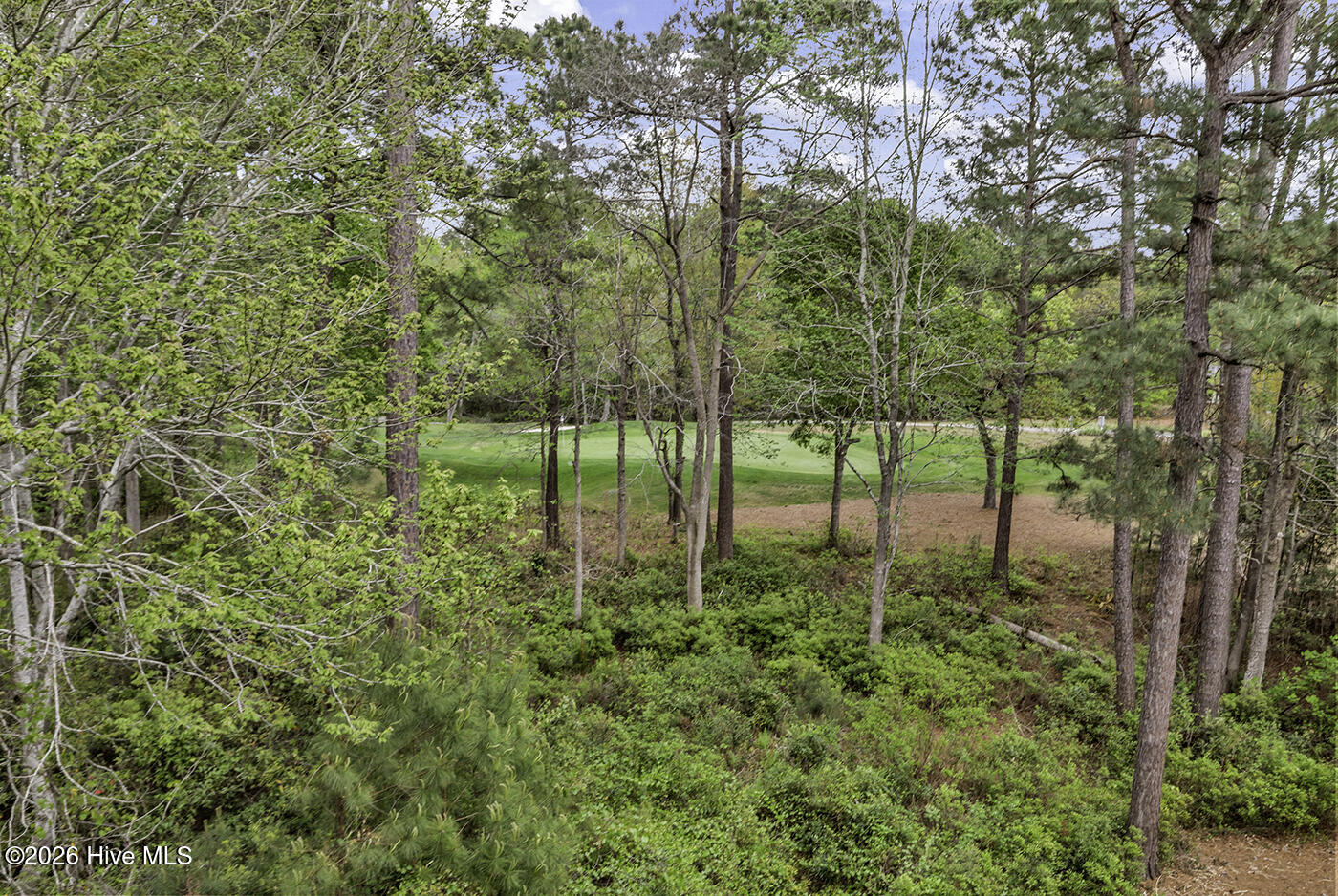 100566110 | Photo 36