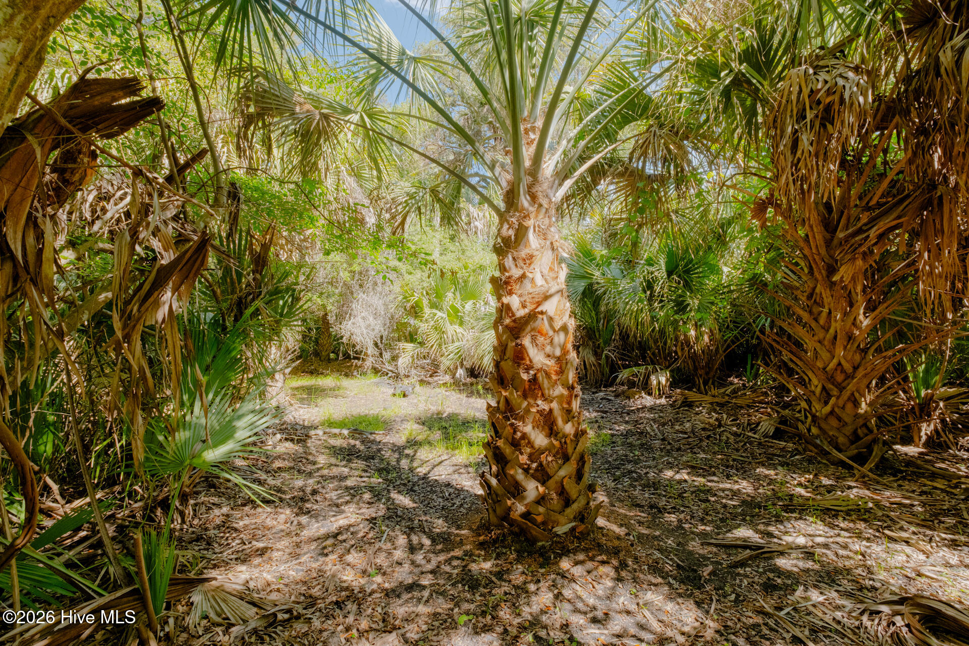 100573026 | Photo 4