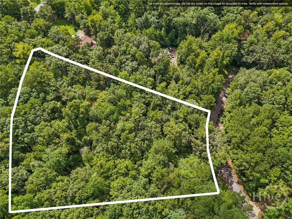 Homes for sale in Greensboro, GA | 1040 Union Station Rd, Greensboro, GA 30642 | MLS# CL336680