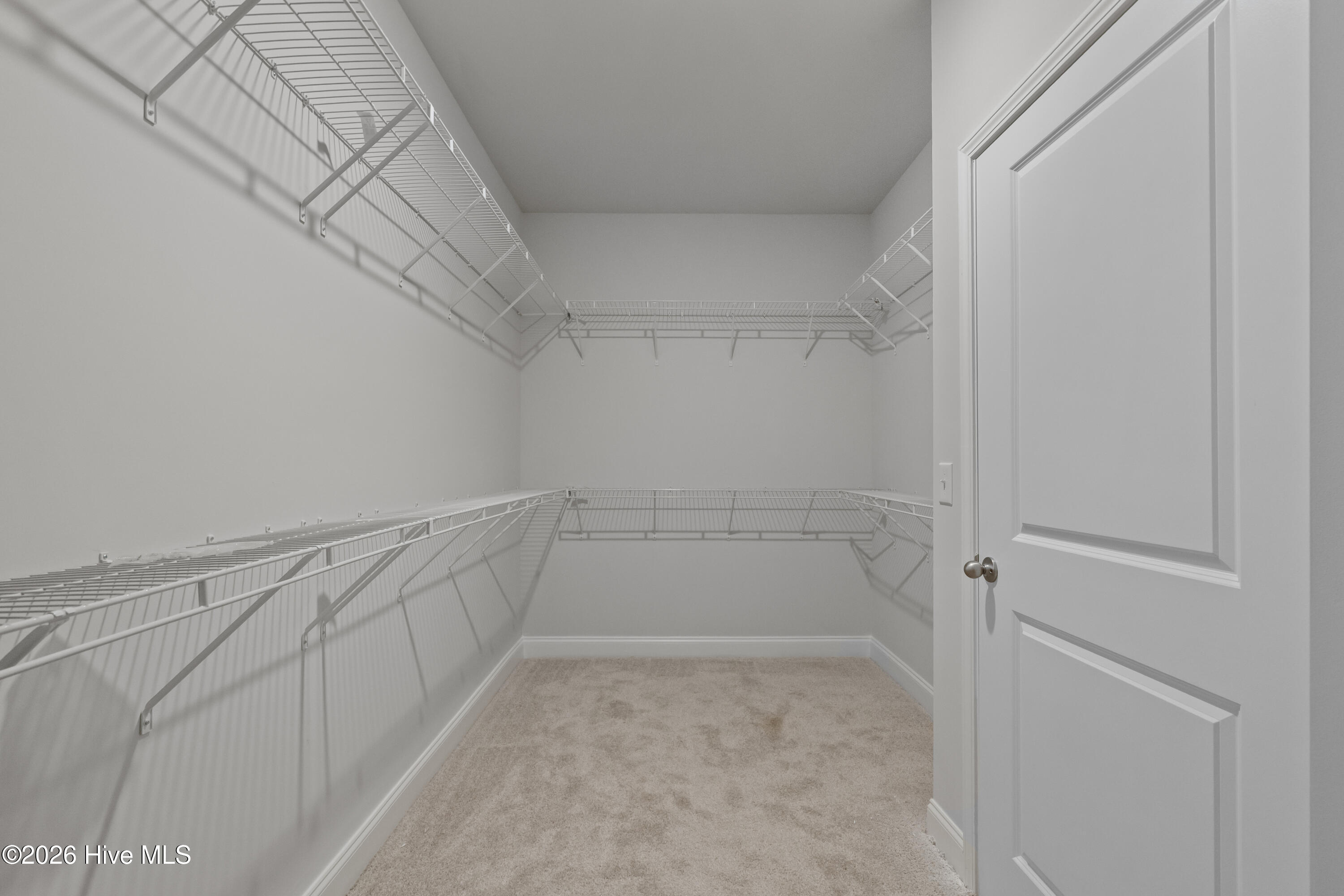 100554702 | Photo 27