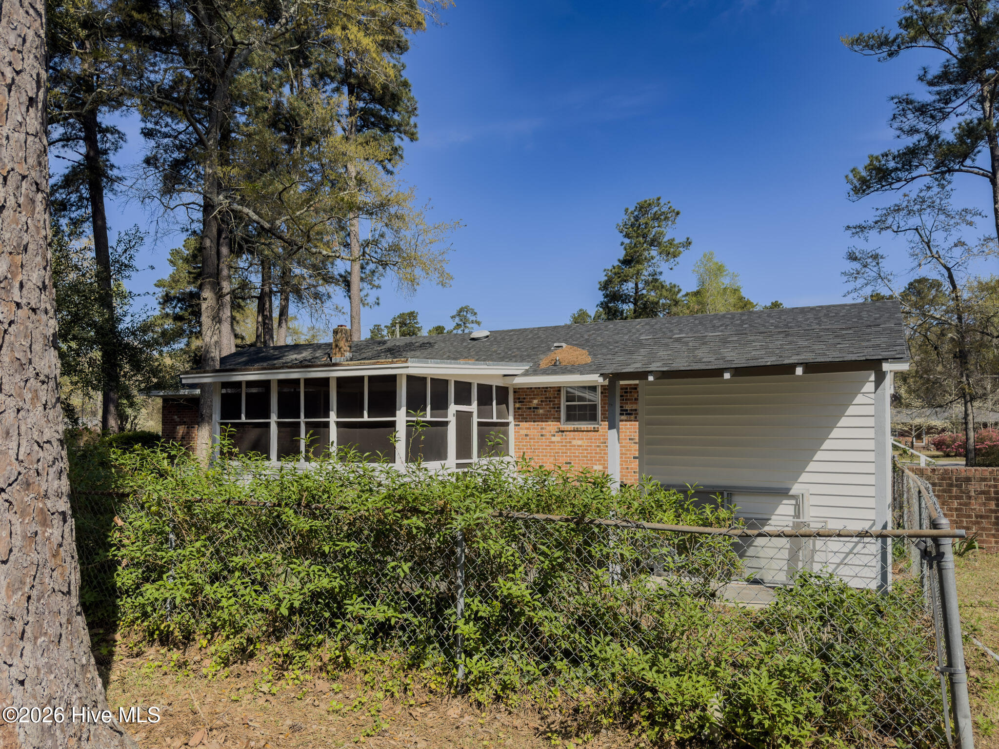 100567353 | Photo 13