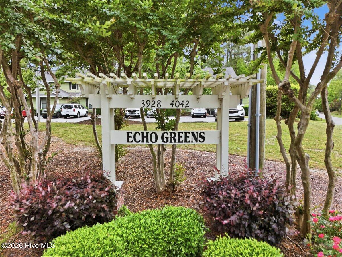 100568234 | Photo 53