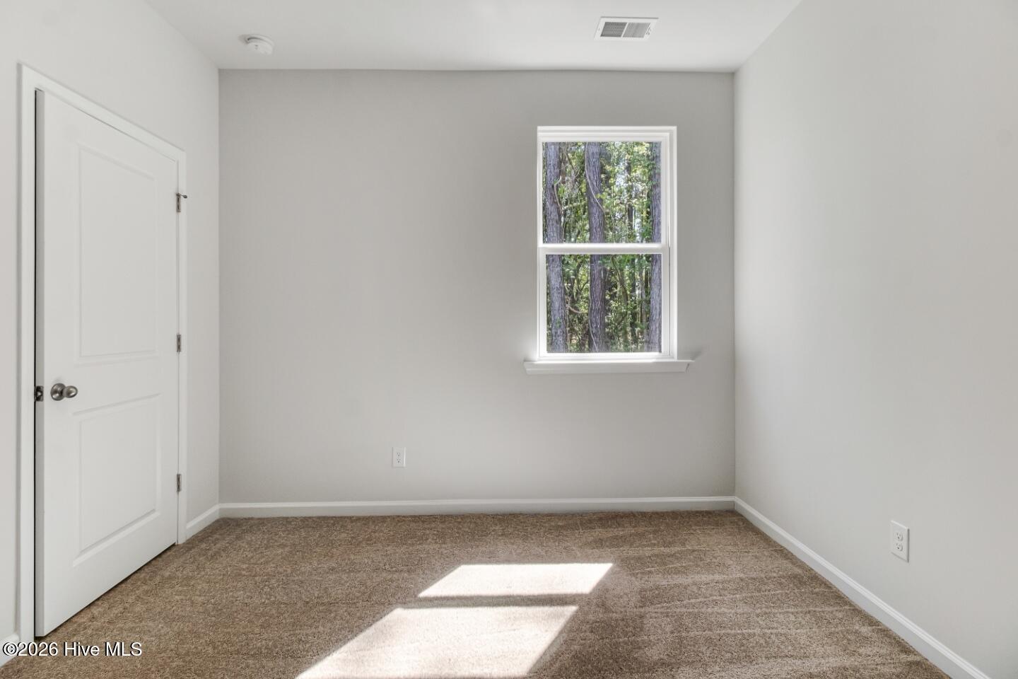 100556795 | Photo 22