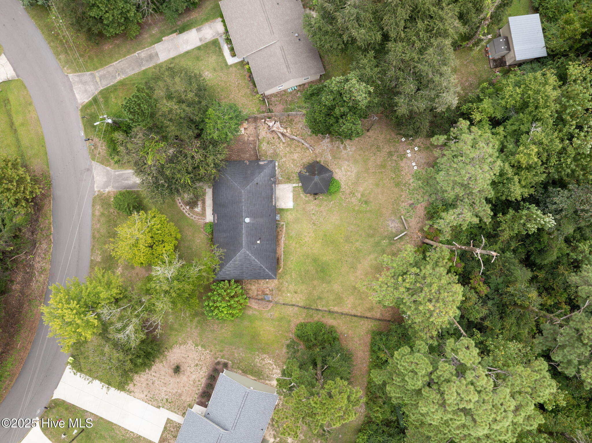 100531423 | Photo 48