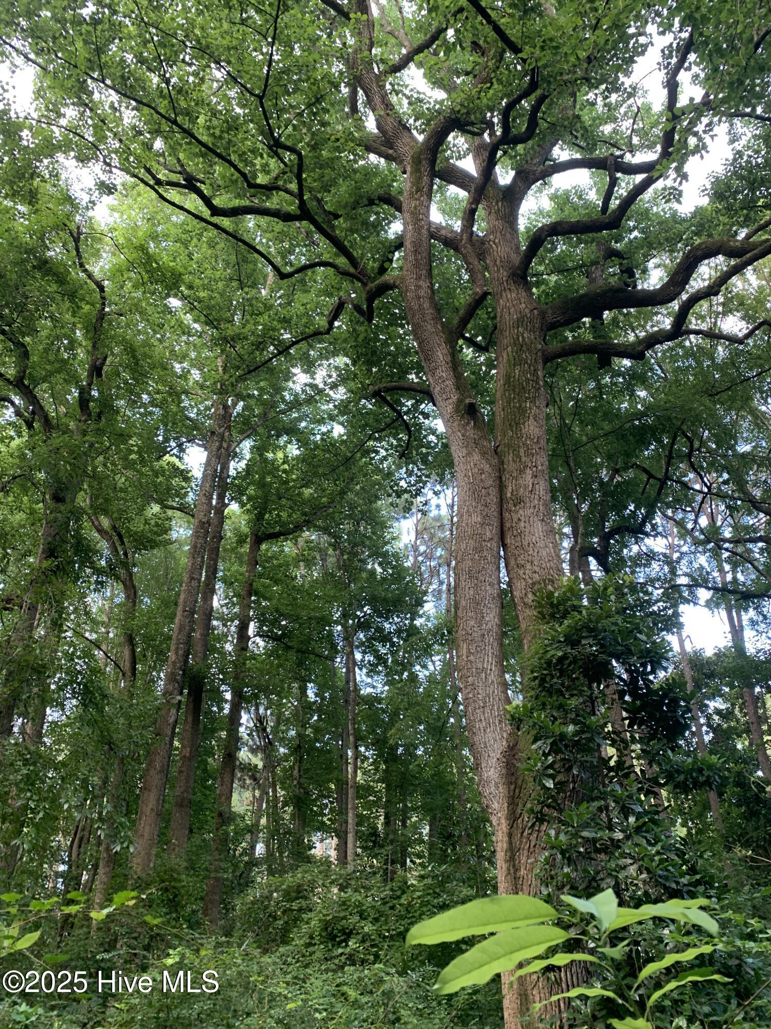 Property at 52 Skye Drive