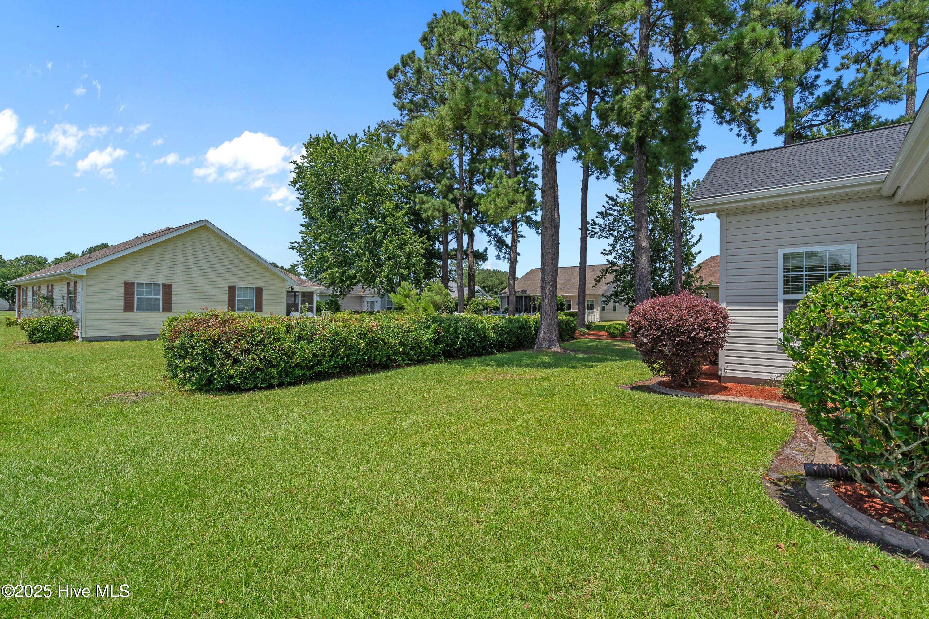 100517494 | Photo 29