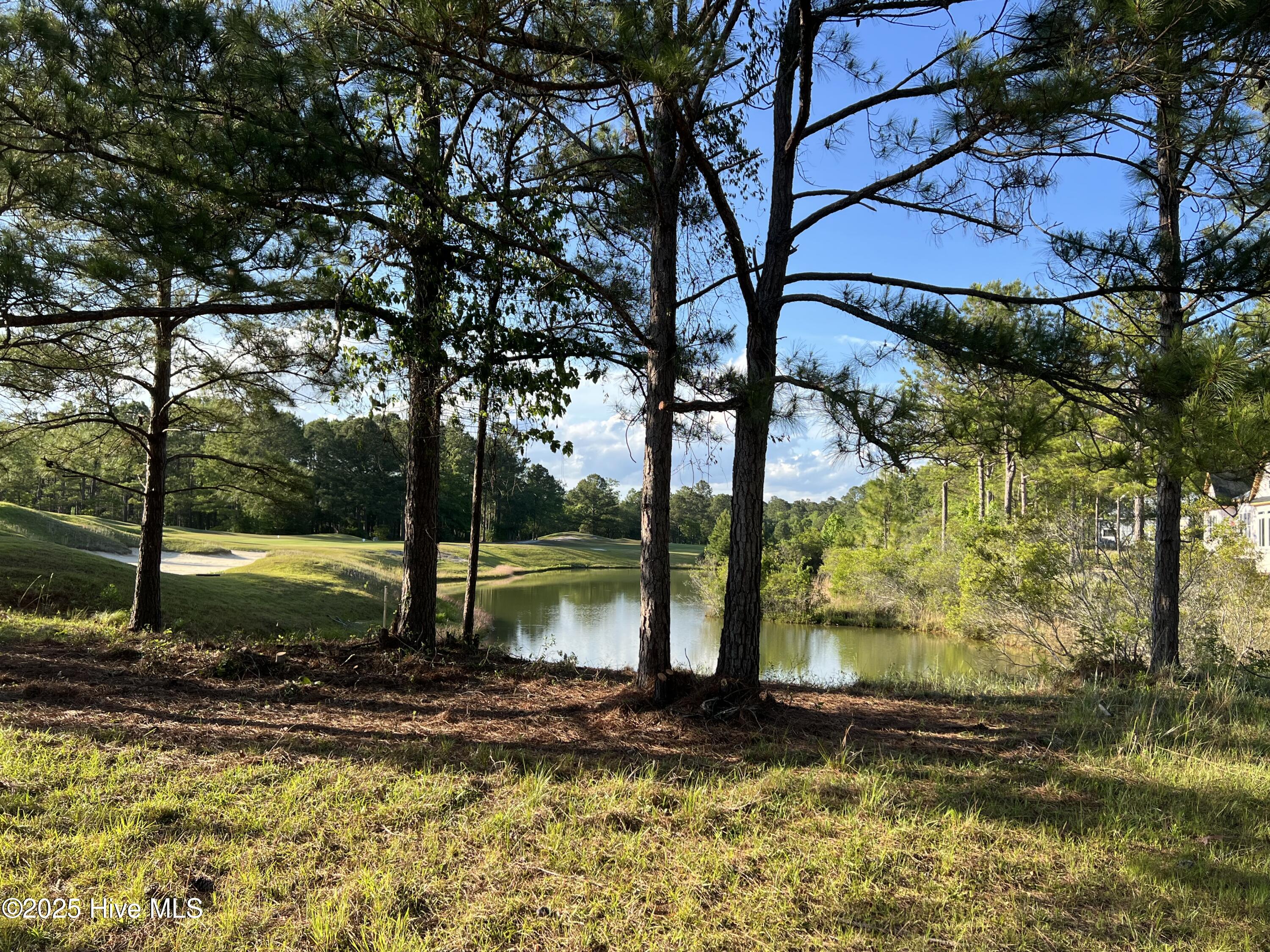 100509687 | Photo 22