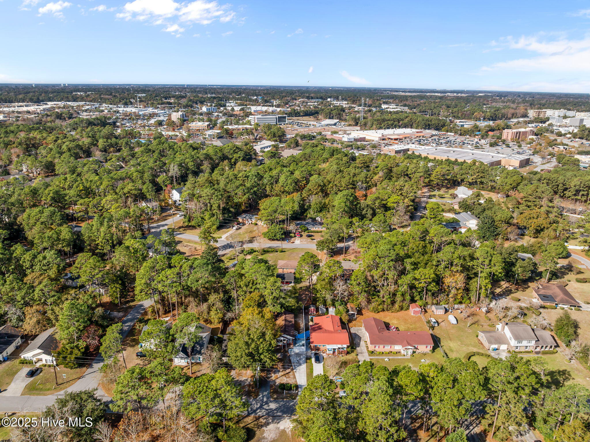 100559605 | Photo 43