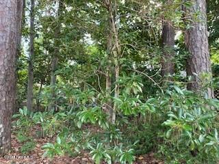 7528 Plantation Road, Wilmington, NC 28411 Listing Photo  1