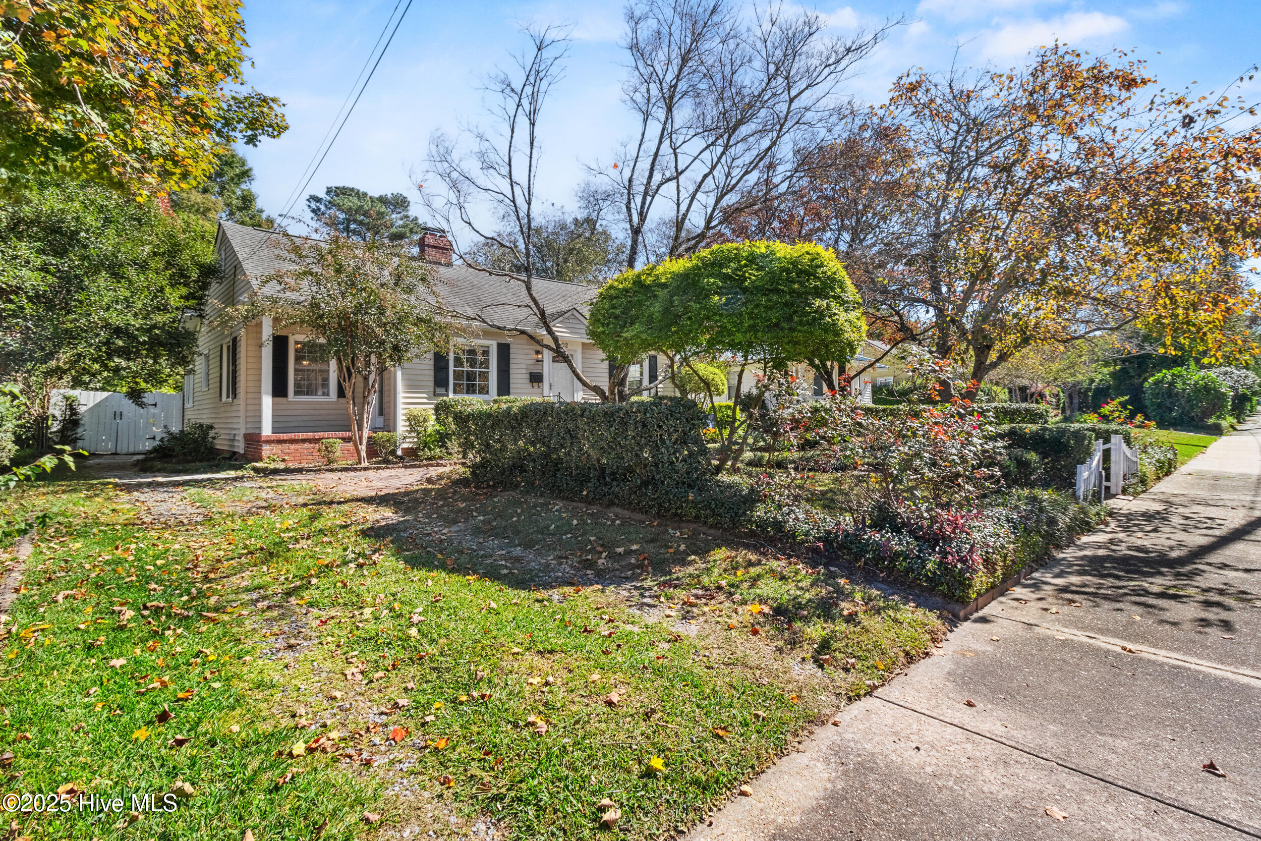 100538519 | Photo 34