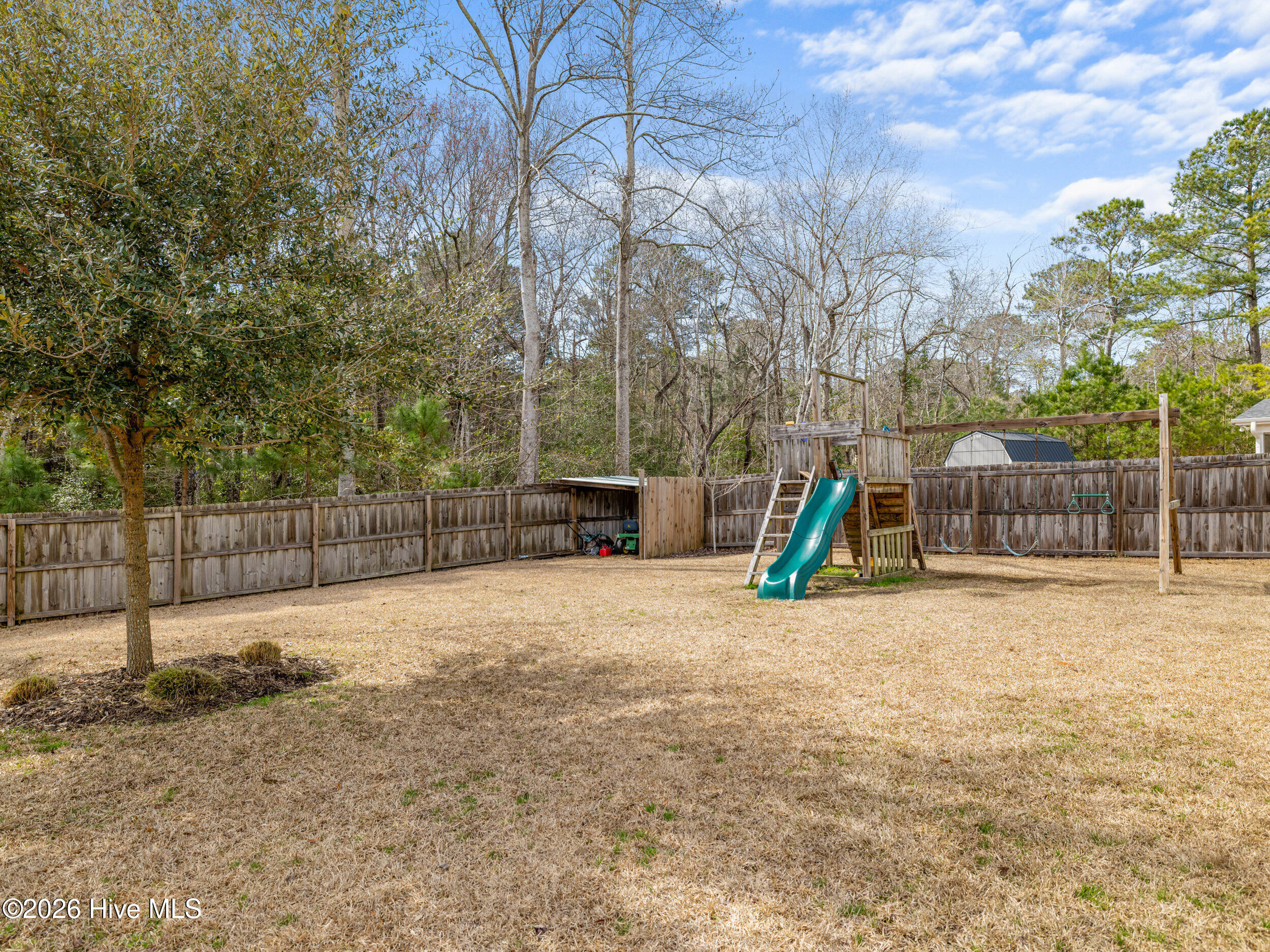 100557695 | Photo 70