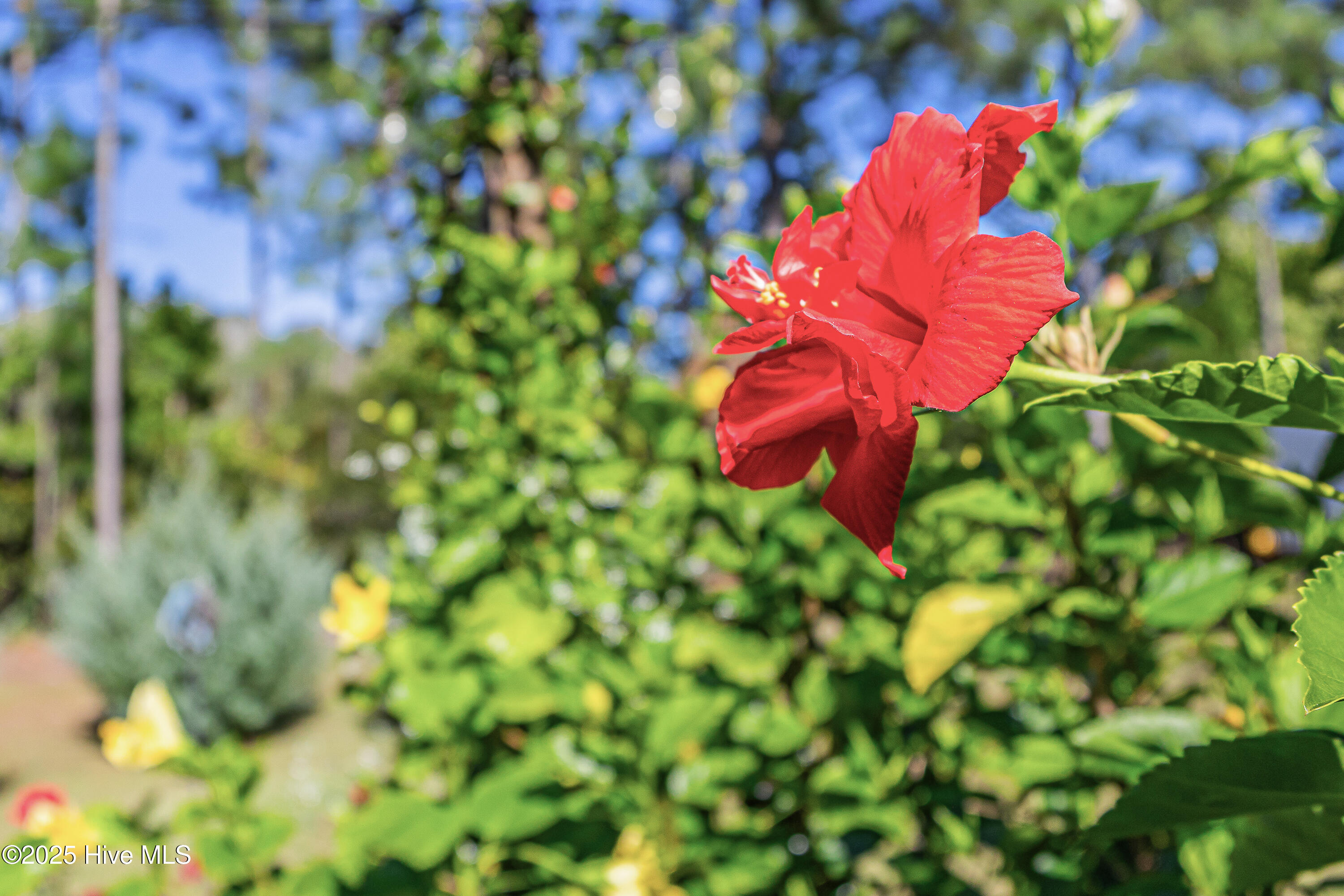 100537836 | Photo 39