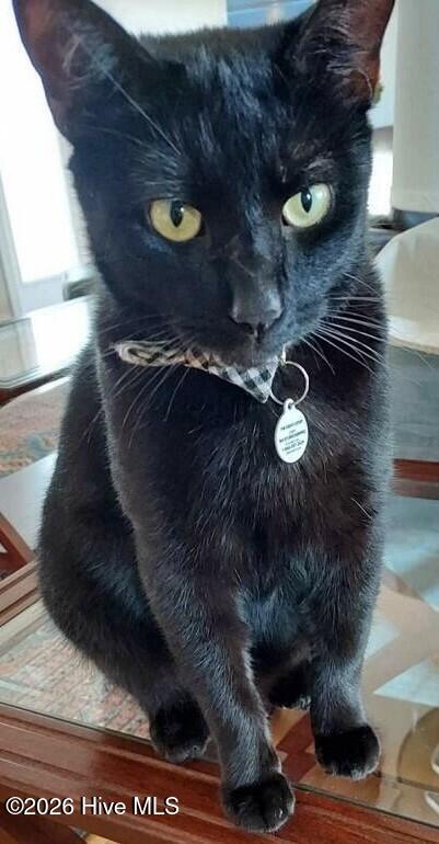 100559114 | Photo 47