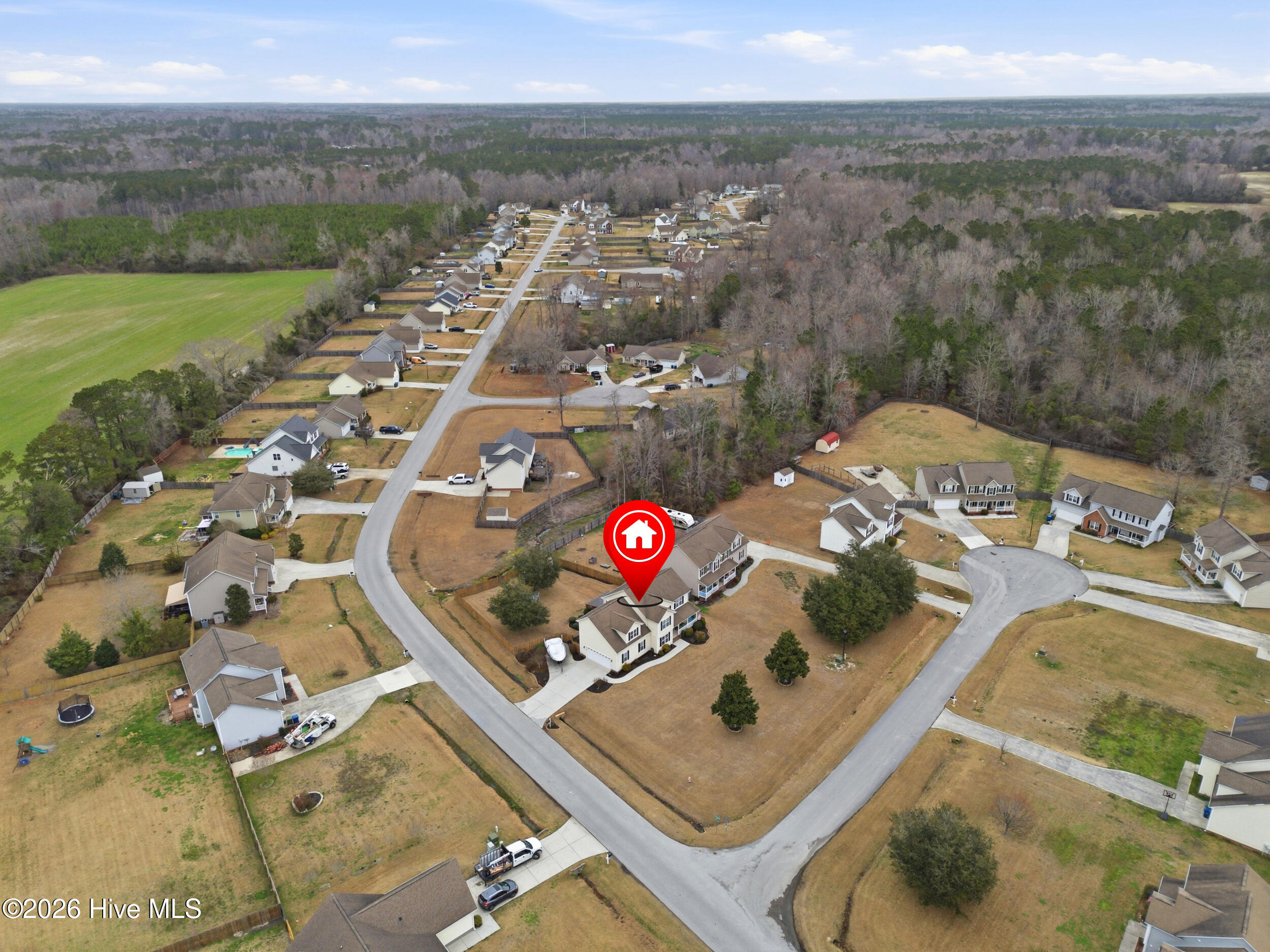 100558119 | Photo 50