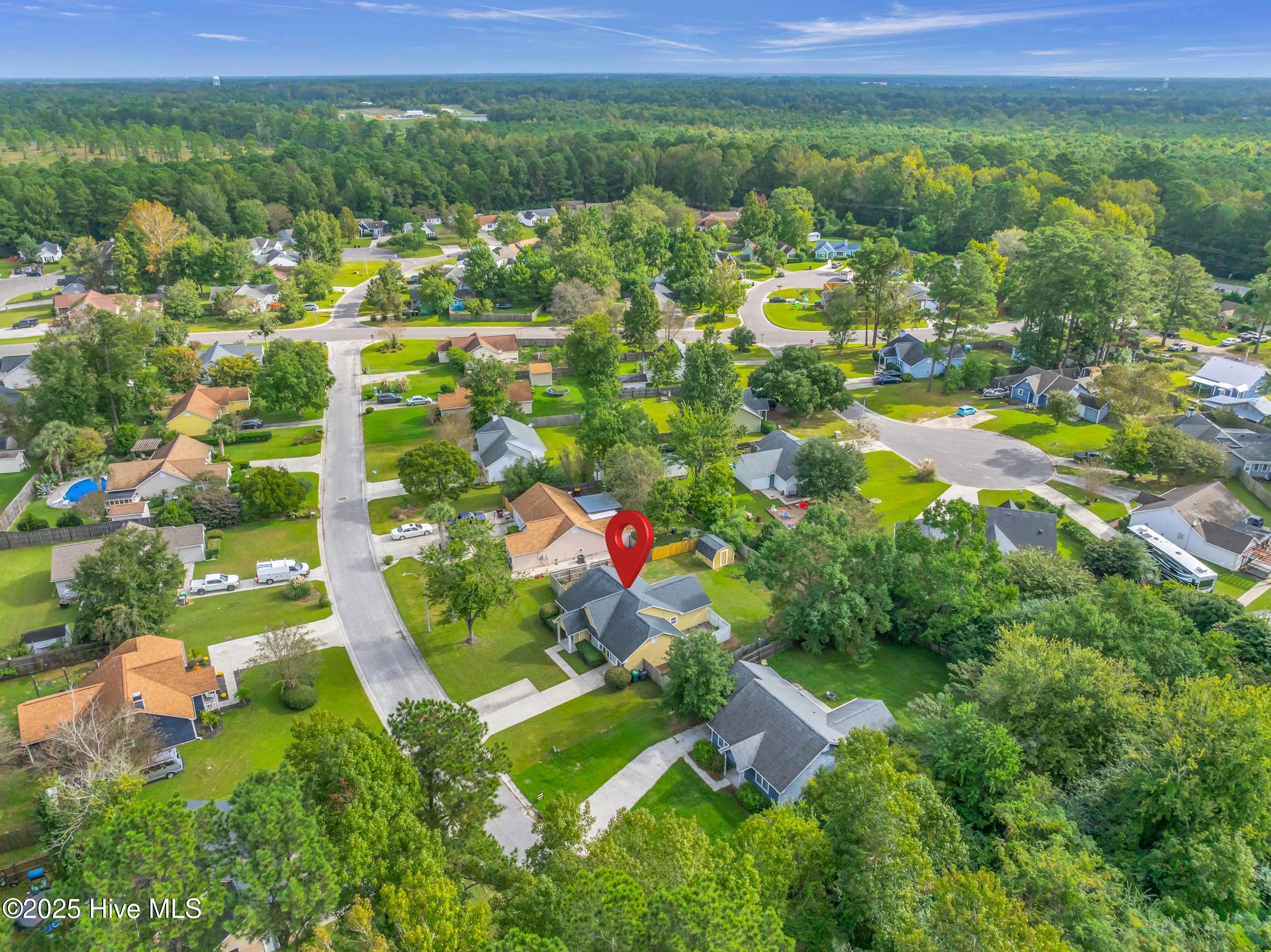 100535250 | Photo 37